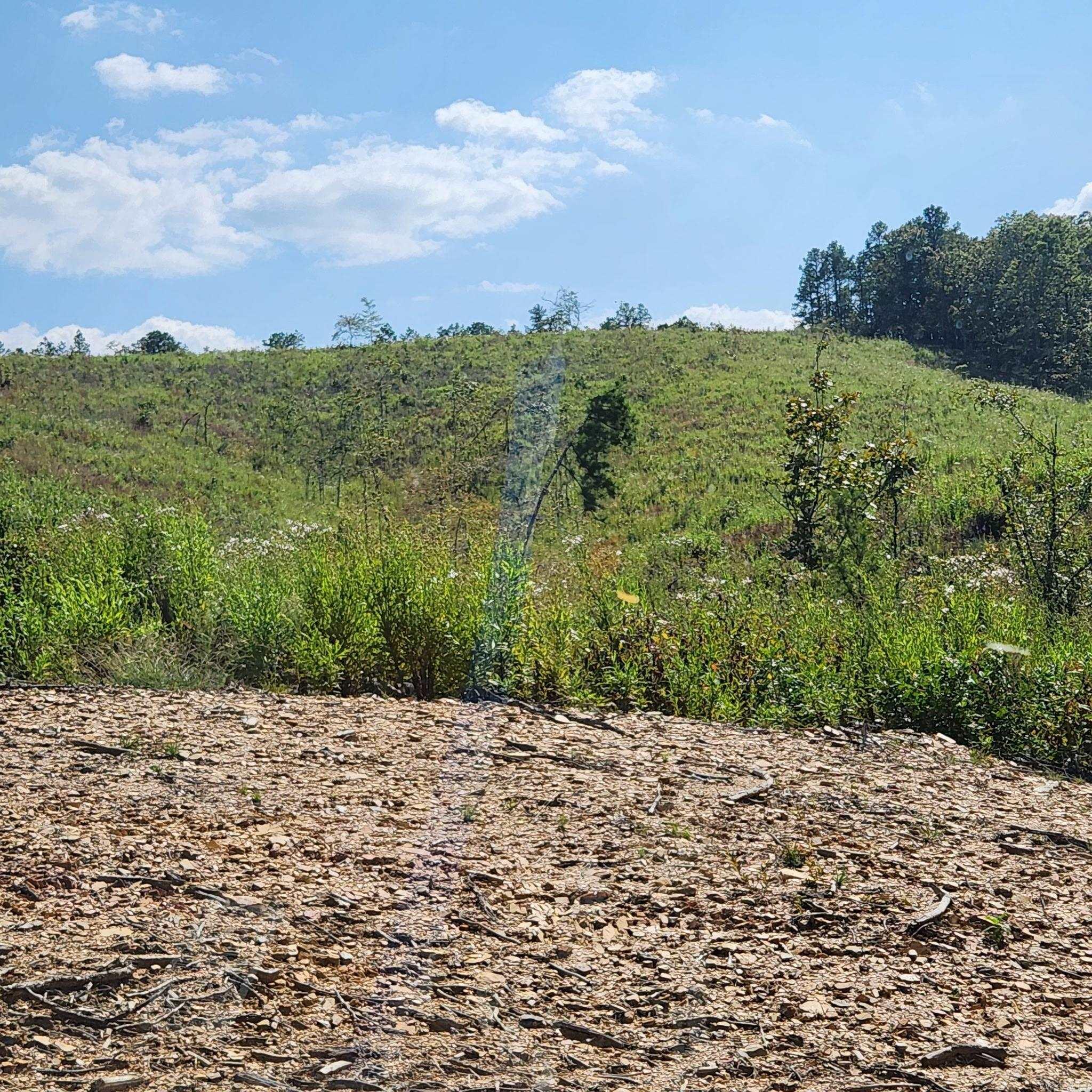 Big Fork Area - Farm