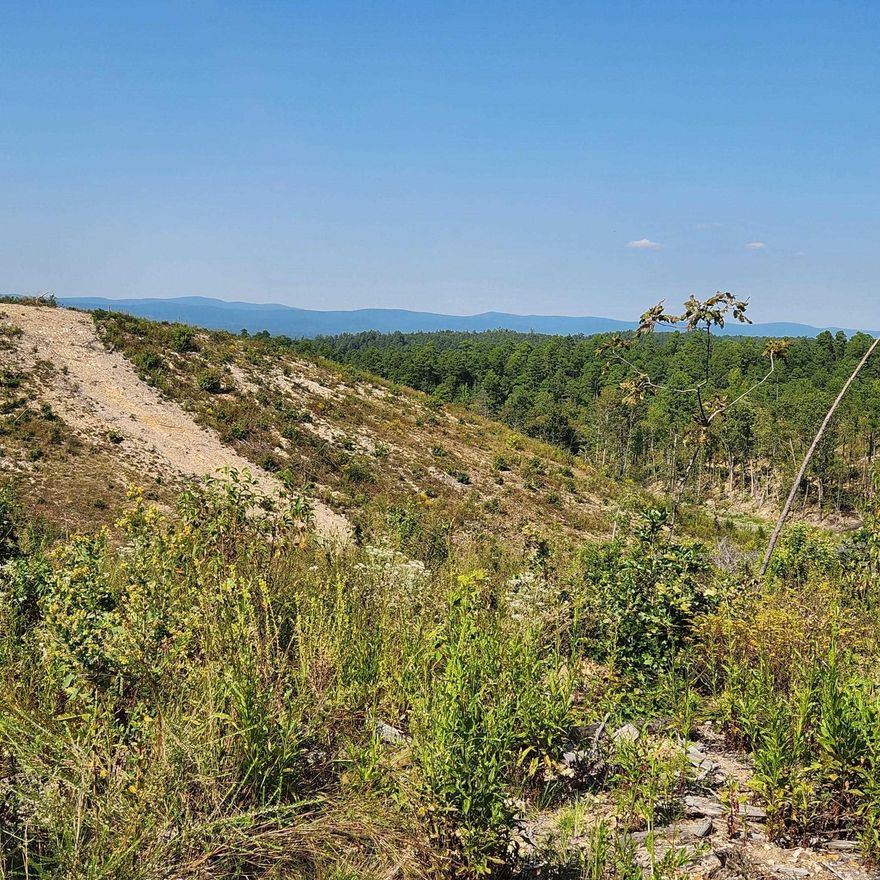 FANTASTIC large tract of land in a great location! This 120 wooded acres  is located East of Mena, Secluded but Utilities are down the county road, You can ride out of this property to easy access all the TRAILS, creeks & rivers! You're a great ATV/UTV ride to Wolf pen gap, Little Missouri Trailhead, Big Fork Creek Natural Area, Little Missouri Falls, Big Fork store! Perfect for more than one home or cabins too!