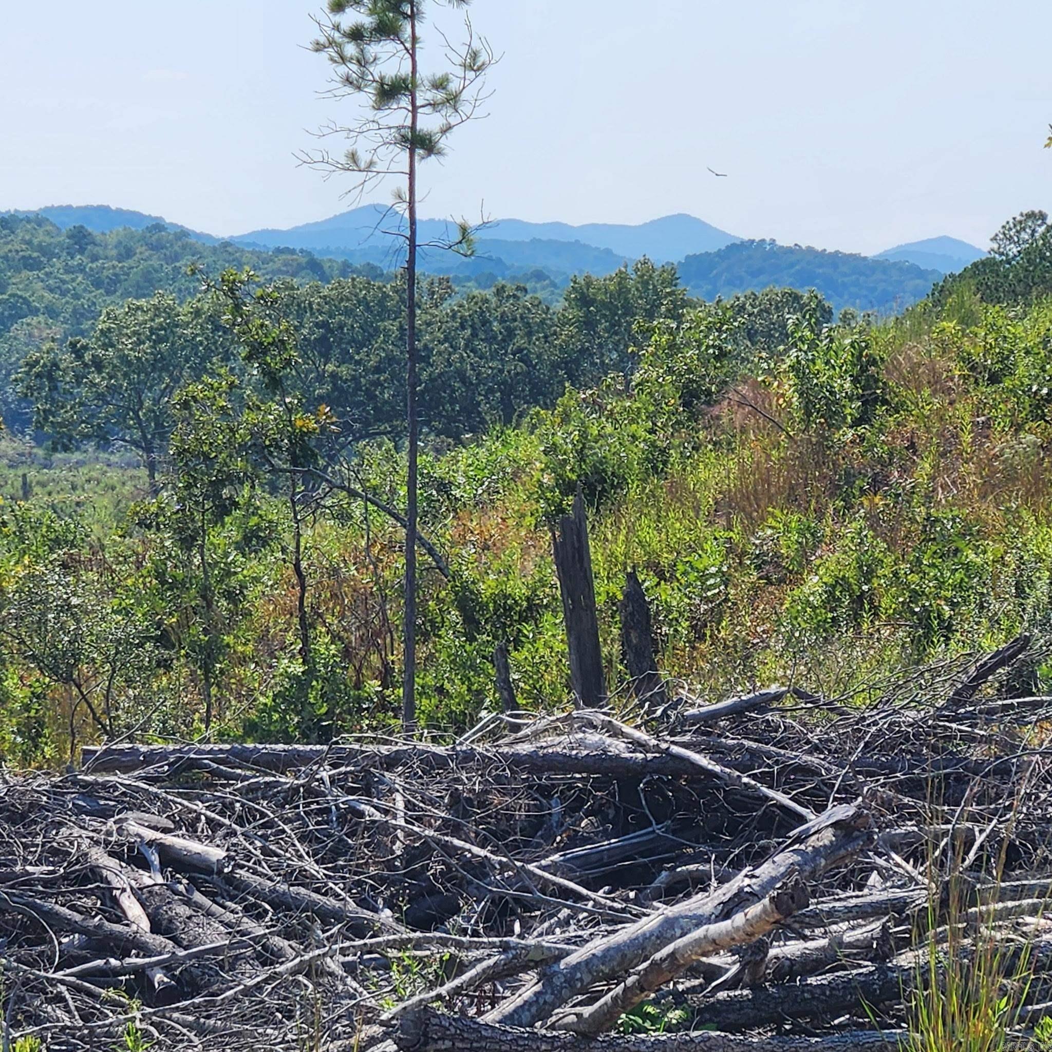 Big Fork Area - Farm