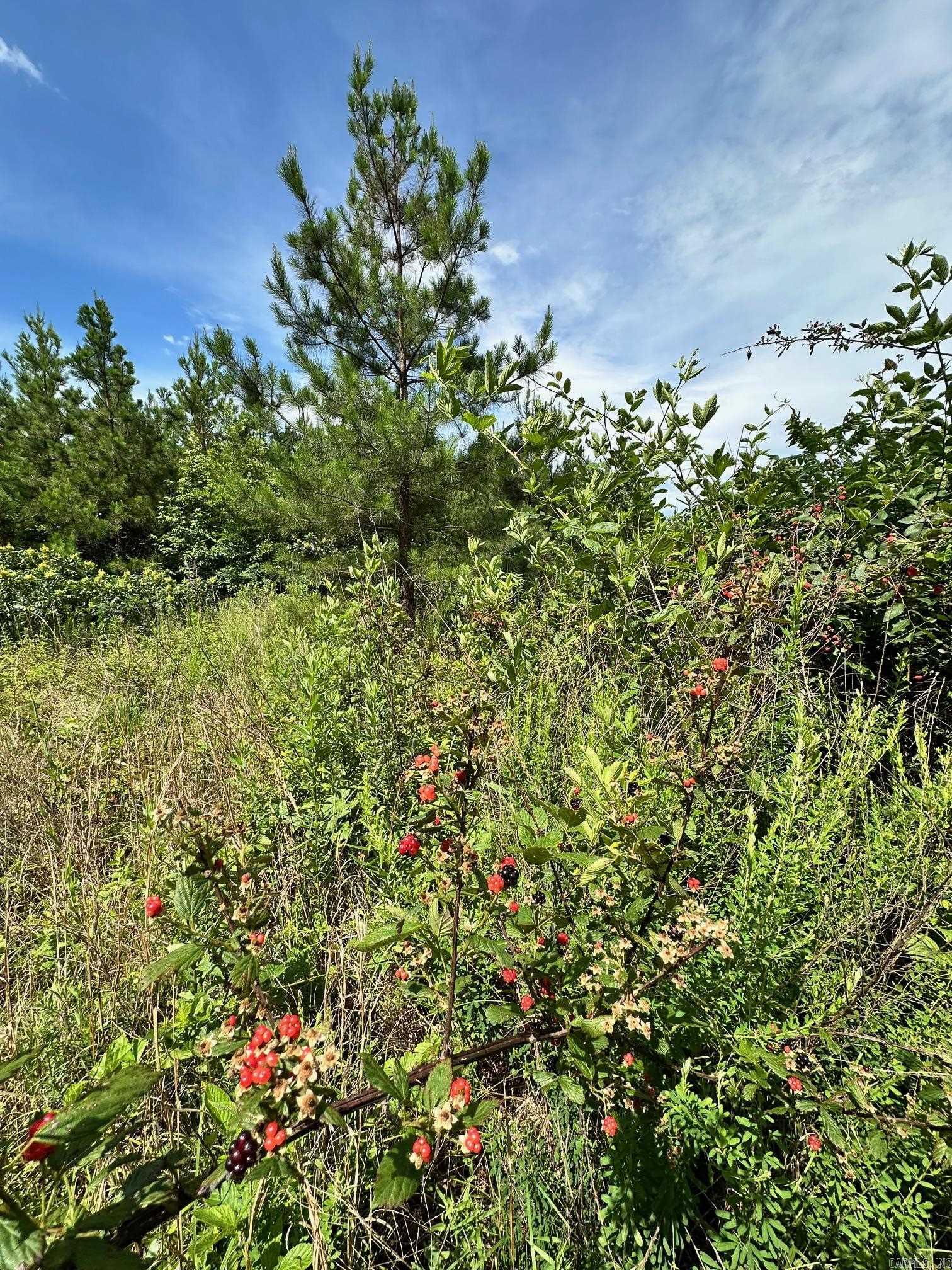 Not in Subdivision - Land