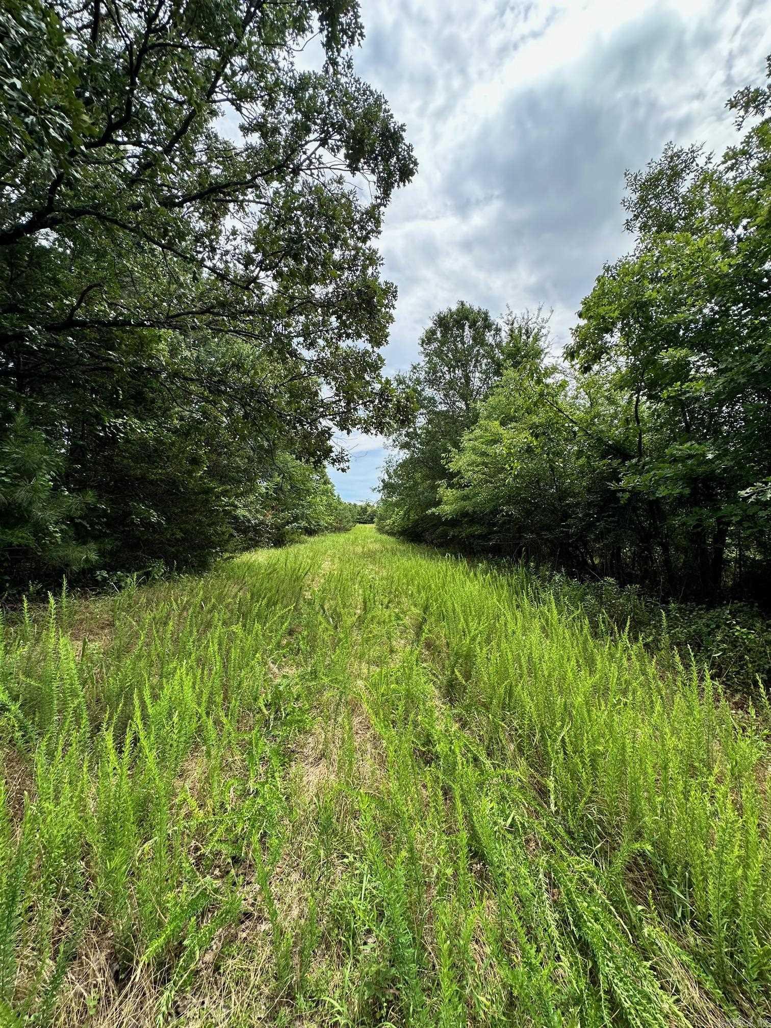 Not in Subdivision - Land