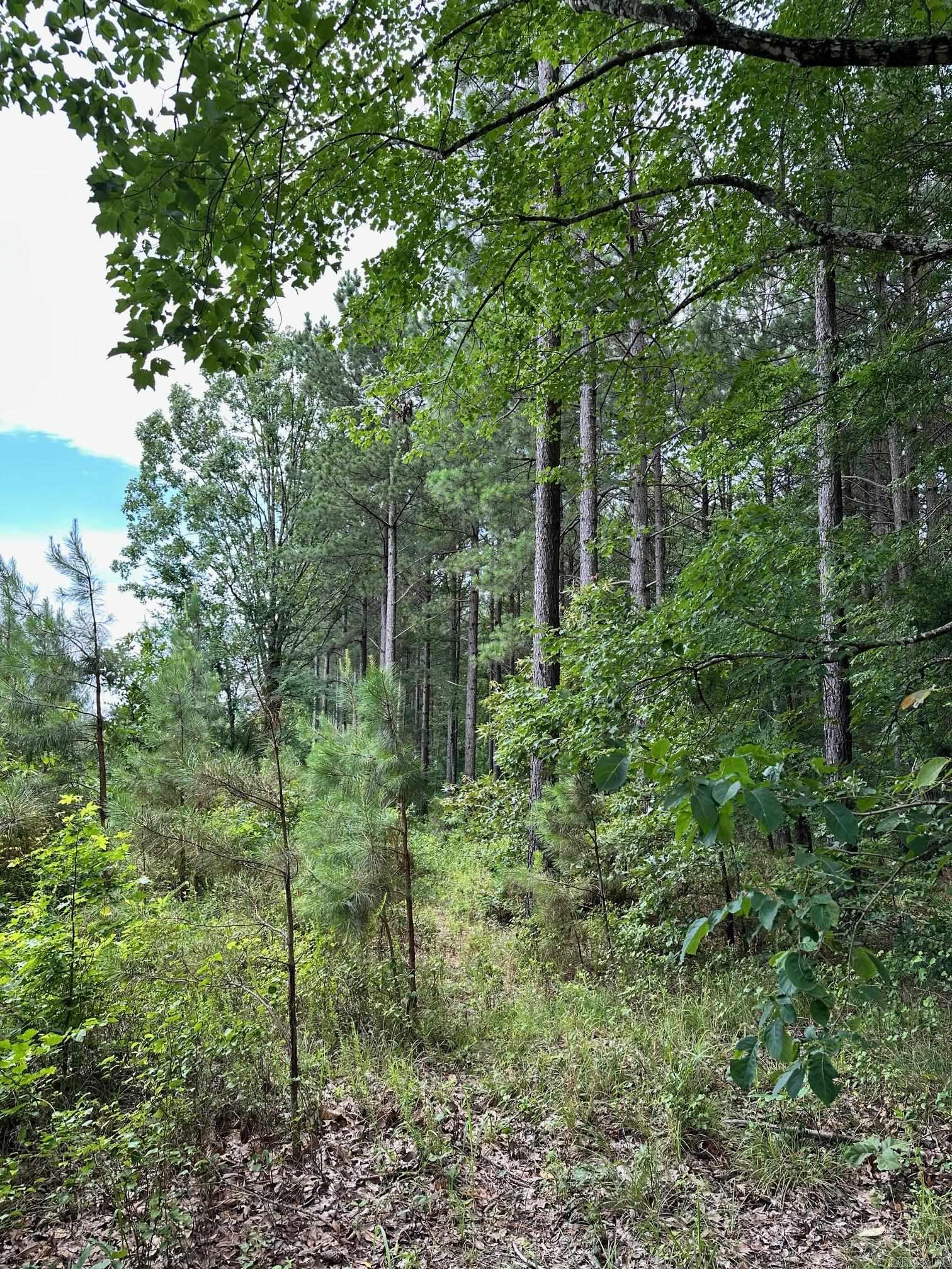 Not in Subdivision - Land