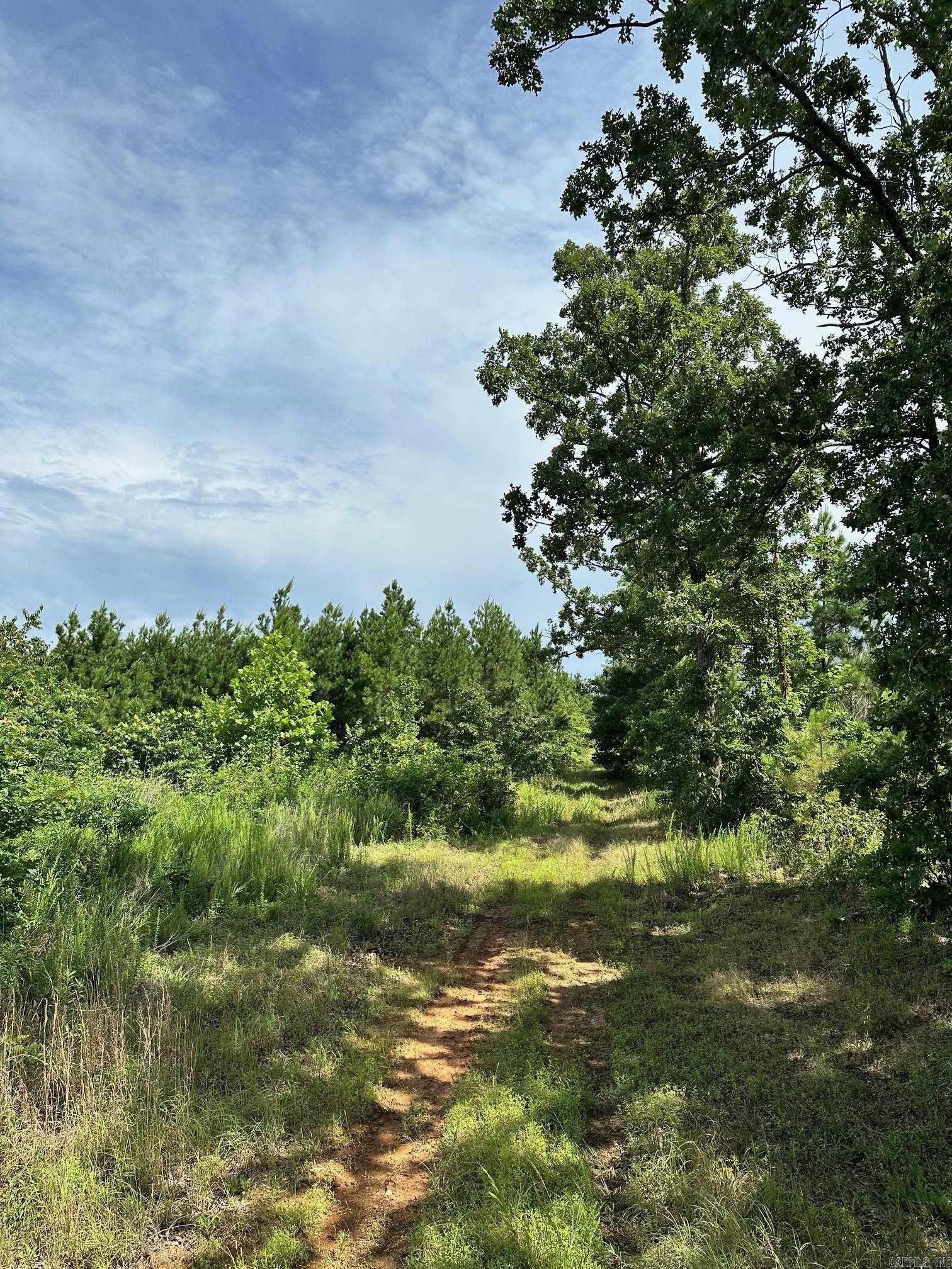 Not in Subdivision - Land