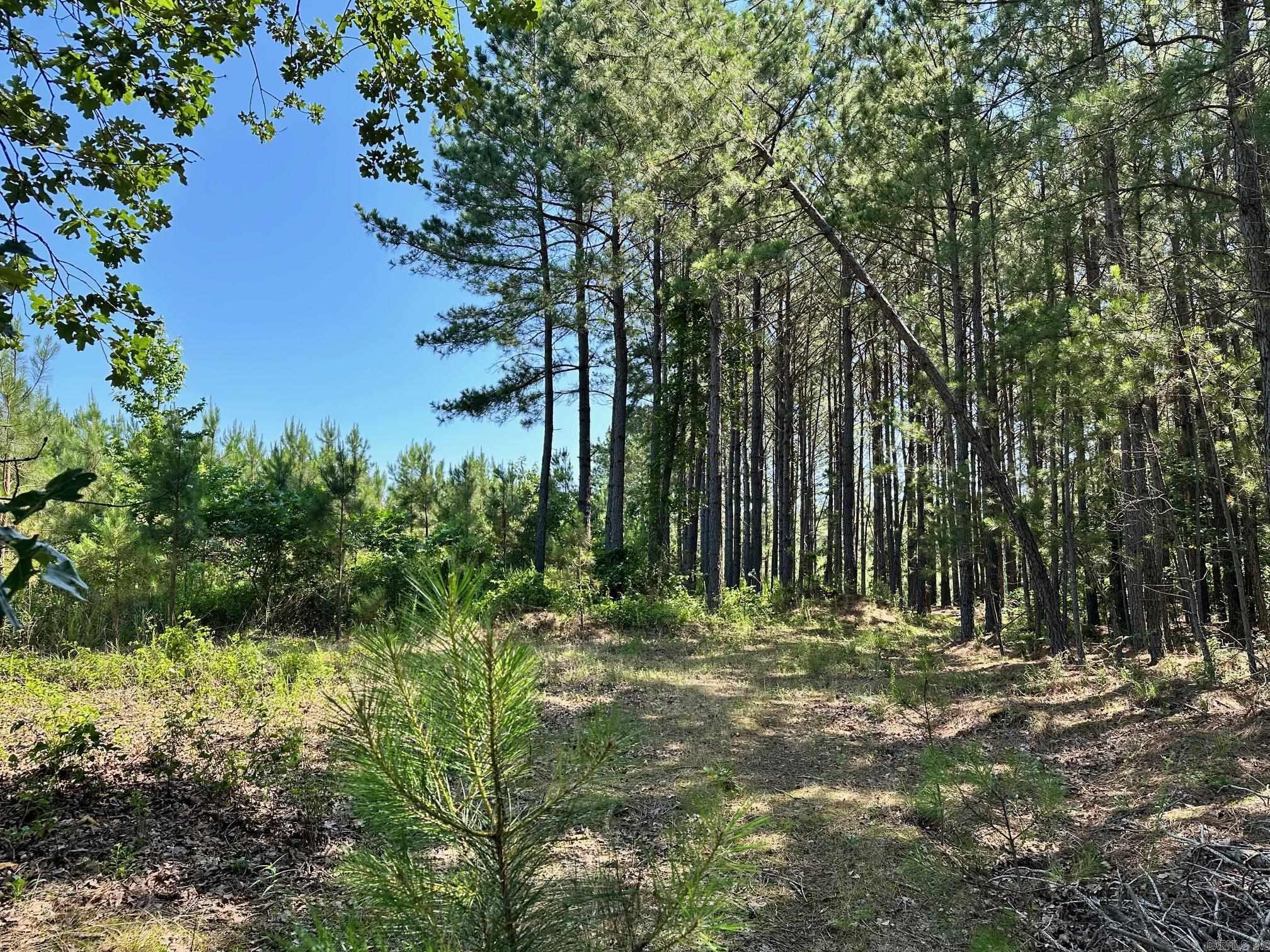 Prime 110-Acre Recreational Property with Building Potential 45 Minutes from Conway | 10 Miles North of Atkins off I-40 This 110-acre property is the perfect blend of recreational space and building potential, located just 45 minutes from Conway and 10 miles north of Atkins off I-40. Whether you're looking for a hunting retreat, a place to build your dream home, or a private escape, this land has it all. With two year-round ponds, this property draws in deer, turkey, and small game, making it a great spot for hunting. There are three age classes of planted pines, a network of established trails, and a scenic hardwood ridge offering sweeping views of the valley below. The property has approximately 800 feet of road frontage on Caglesville Lane, with electricity and water already available, making it easy to build. The drive is picturesque, setting the tone for peace and privacy upon arrival. Don’t miss out on this amazing opportunity! Contact Marty Sikes at 501-450-0963 to schedule a private showing of this beautiful 110-acre tract today!