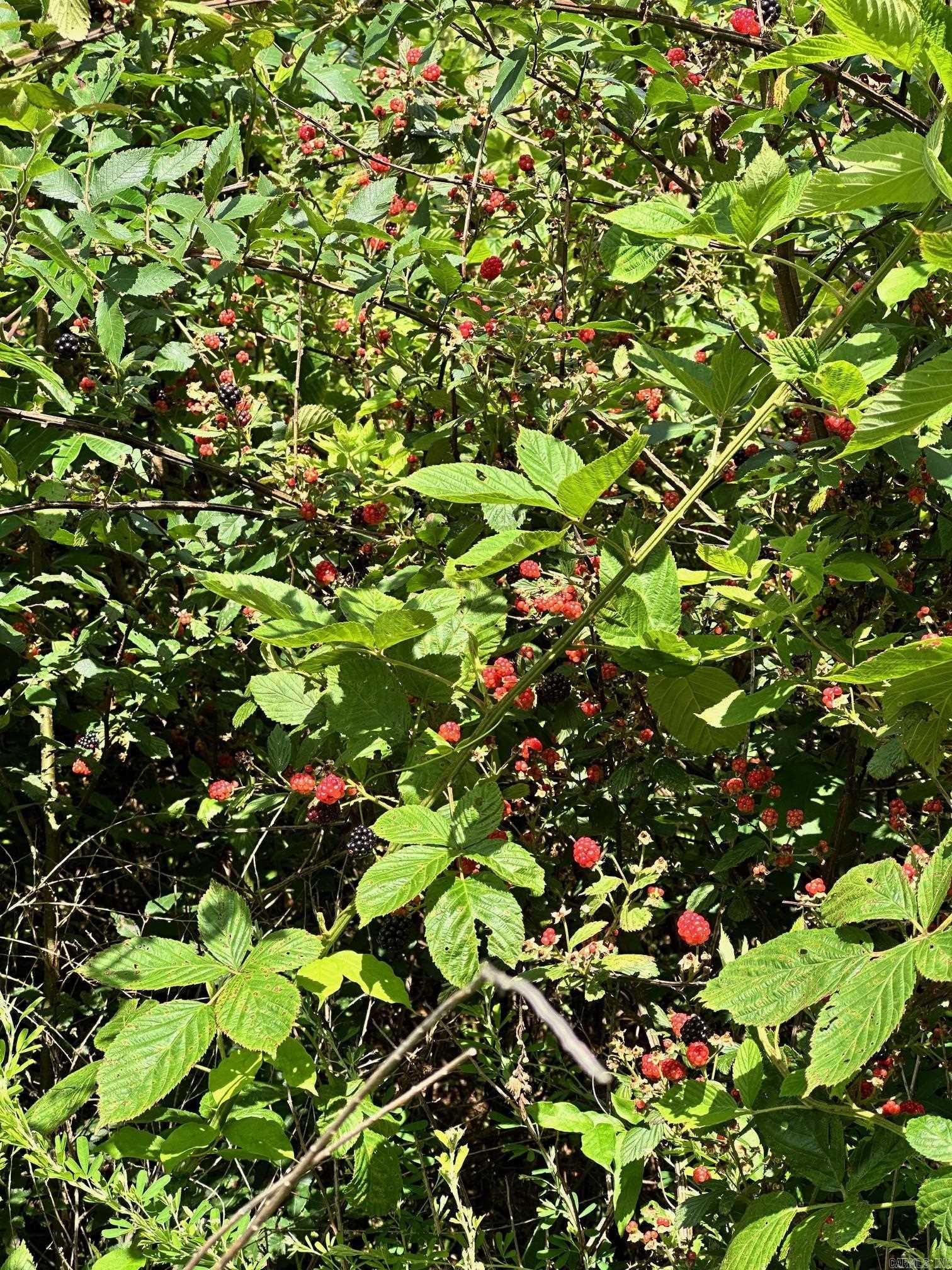 Not in Subdivision - Land