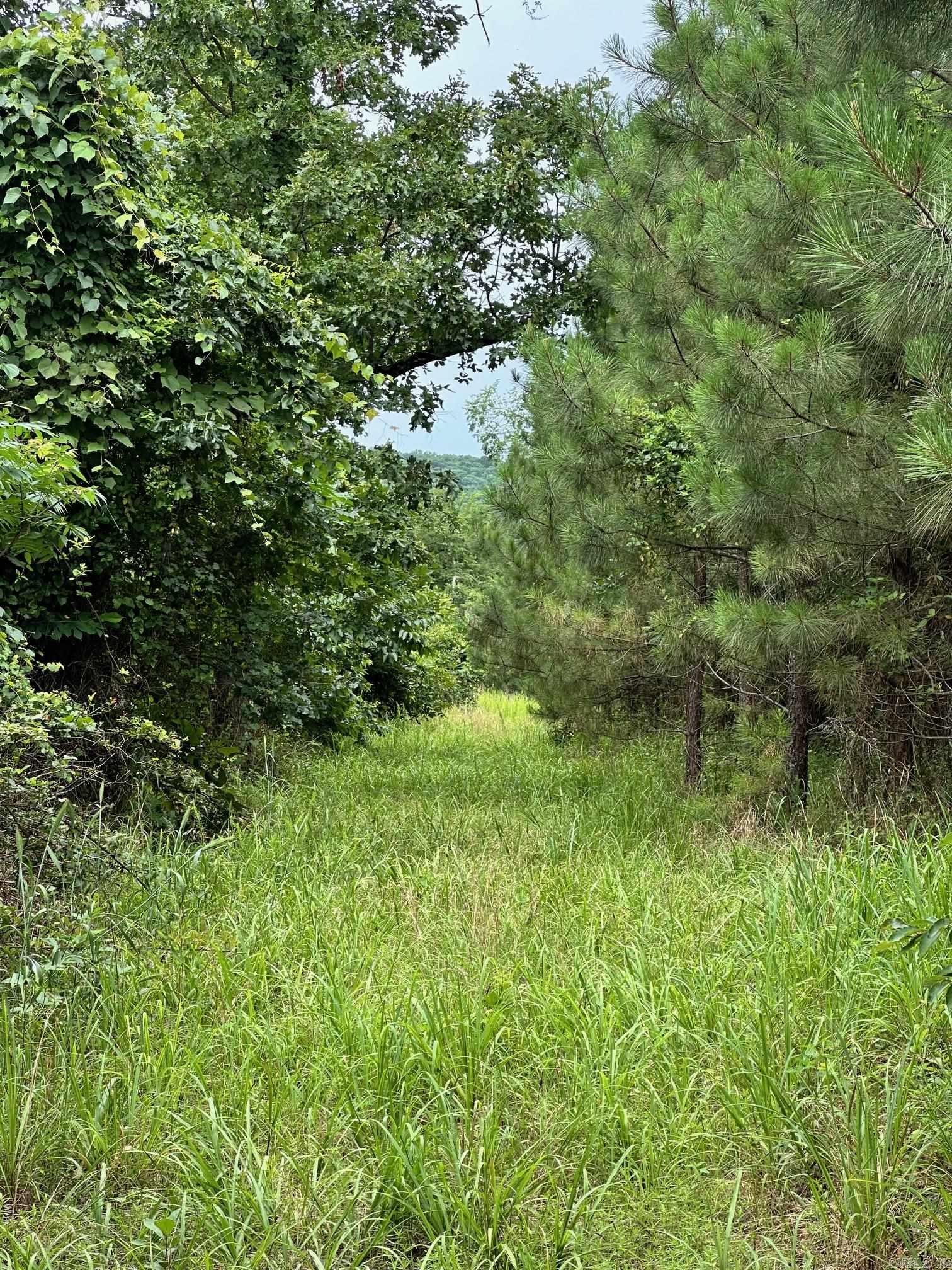 Not in Subdivision - Land