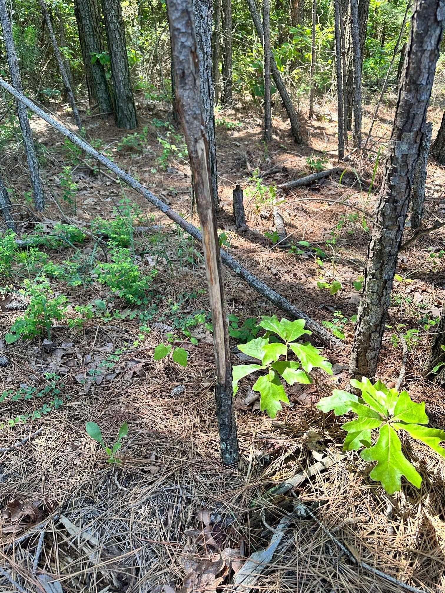 Not in Subdivision - Land