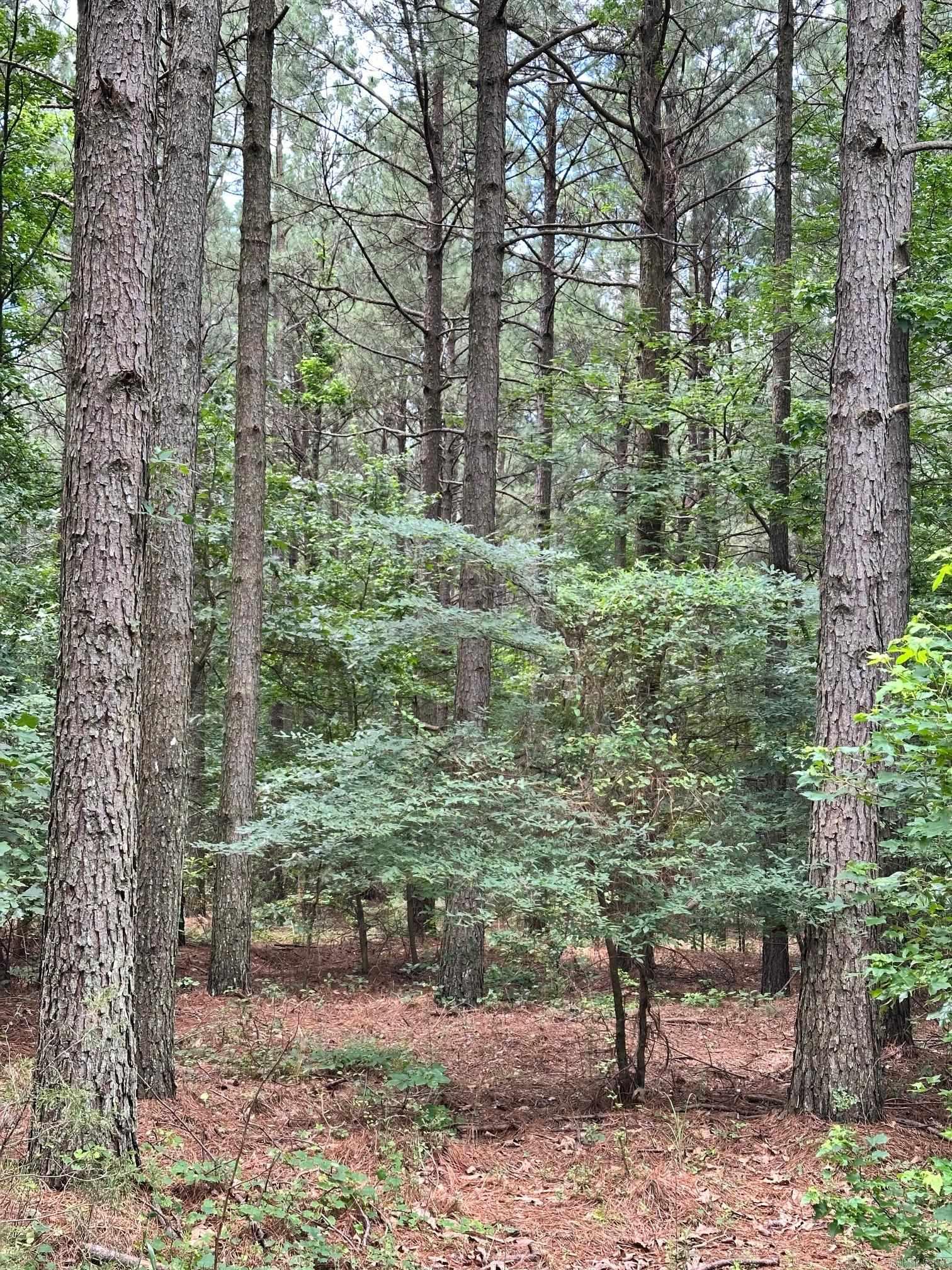 Not in Subdivision - Land