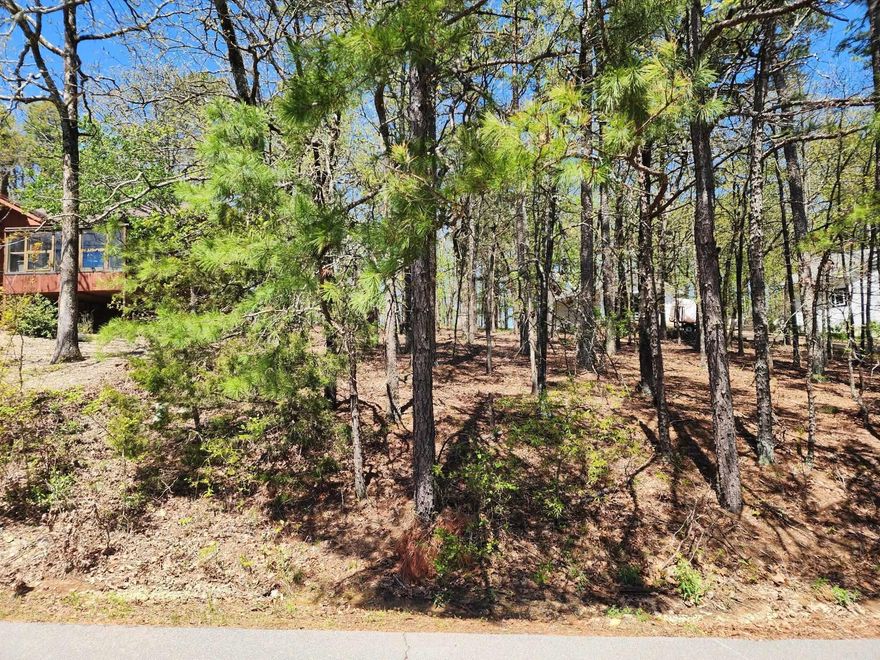 Very buildable lot with views to both the front and possibly the rear. Priced to sell!