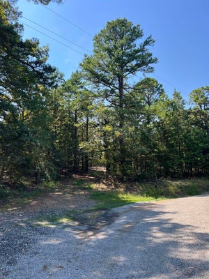 ADDRESS PRIVATE, MENA, AR 71953 - Image 66ed87f3a7f76e882013a1e2acabd343/2203973378