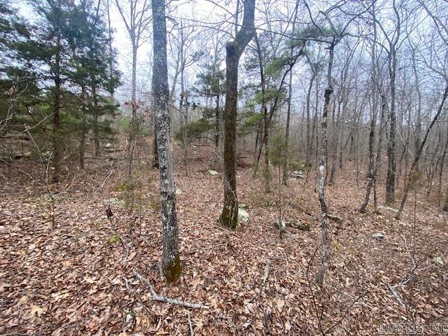 Holley Mountain Airpark - Land