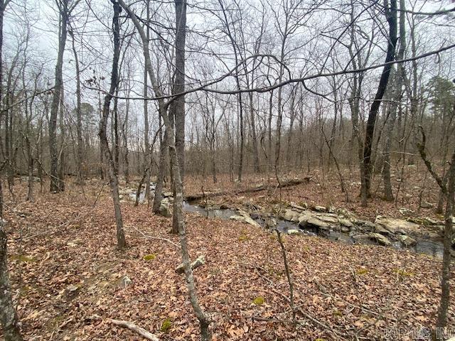 Holley Mountain Airpark - Land