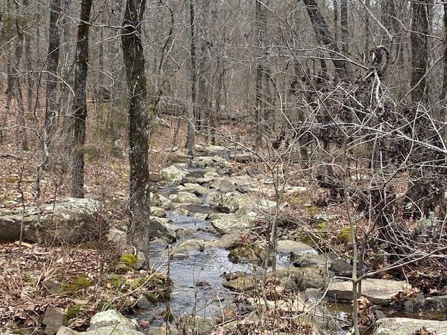 Holley Mountain Airpark - Land