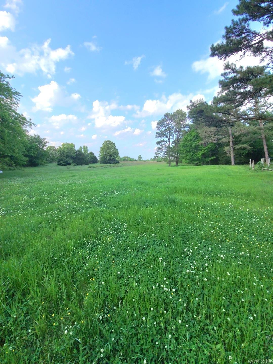 Located just over 8 miles Southeast of Pleasant Plains, Arkansas you will find the Jackson Glade 240. Upon entering through the gate, a winding two-track road takes you through picturesque pastureland with scattered pines and oaks. Following this road leads to a secluded and beautiful clover-filled pasture, completely surrounded by hardwood timber. This area offers numerous opportunities for ranching, building a homestead, hunting, or enjoying the large pond for fishing. The property includes approximately 60 acres of pastureland, along with many acres of glades and small openings. These areas provide excellent wildlife habitat and offer plenty of grazing for cattle. The land features a diverse mix of timber, including Pines, Whiteoak, Cedar, Redoak, and Hickory, which could be valuable for future timber management. The eastern part of the property has varied terrain with post oak, cedars, and attractive limestone formations. The previous owner installed fencing along the eastern boundary of the gentle terrain and created a convenient ATV trail along the north and eastern edges.