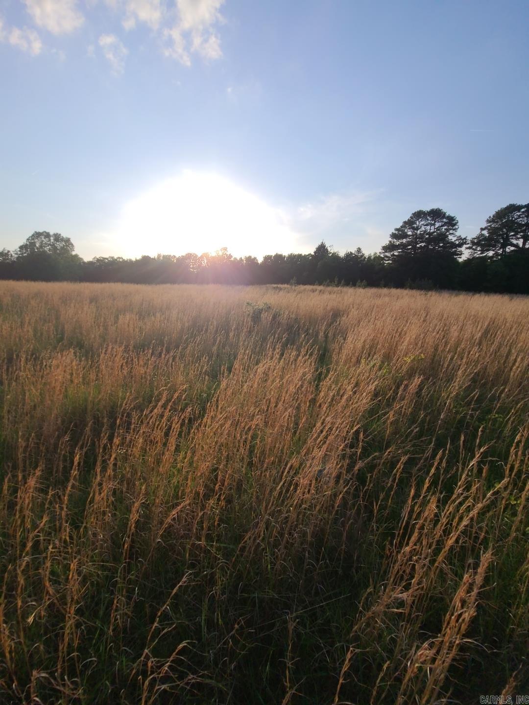 Metes & Bounds - Farm