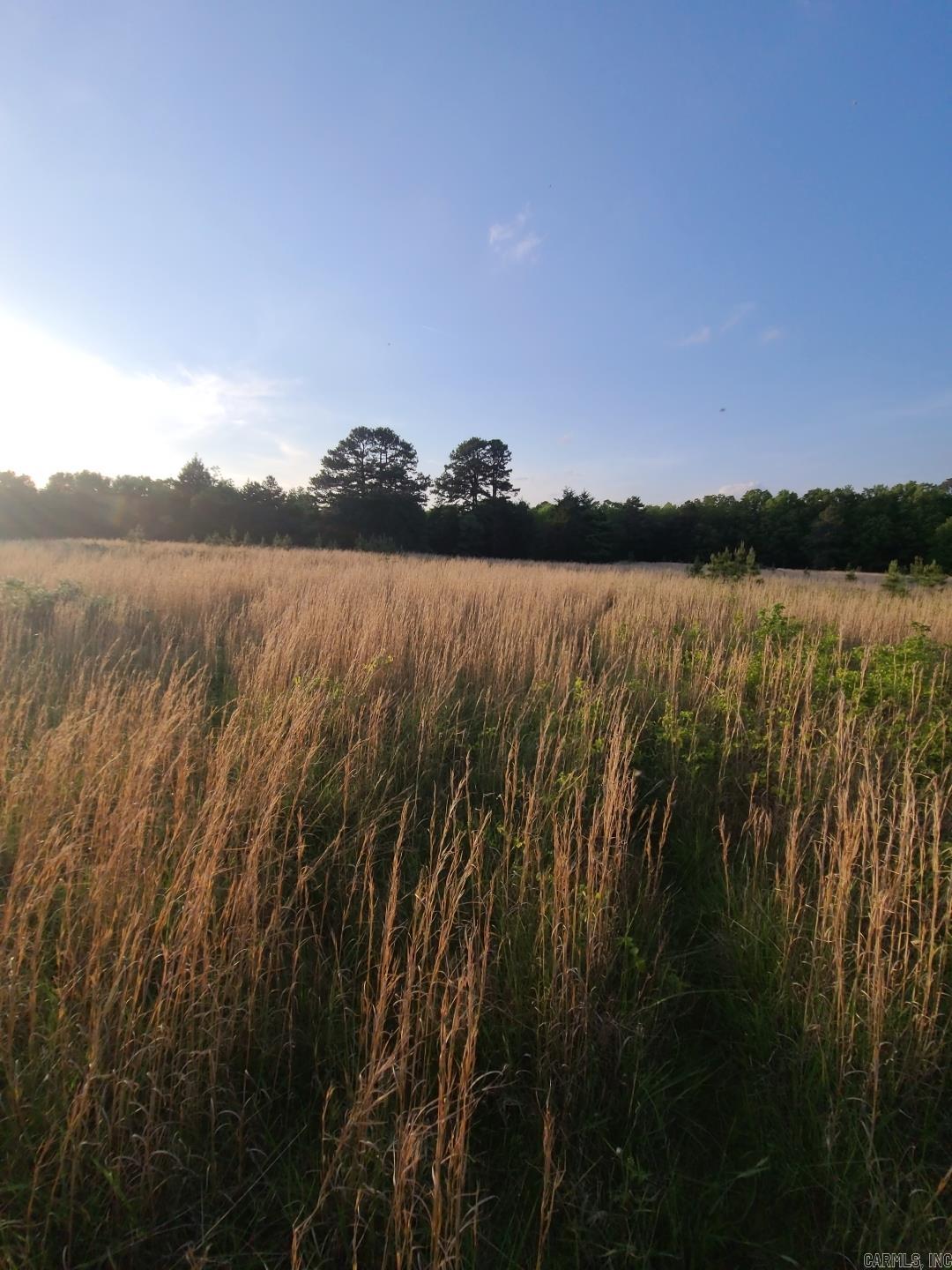 Metes & Bounds - Farm