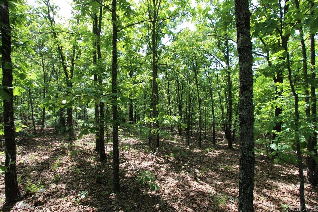 7 LAKES RANCH ESTATES PHASE 1 - Land