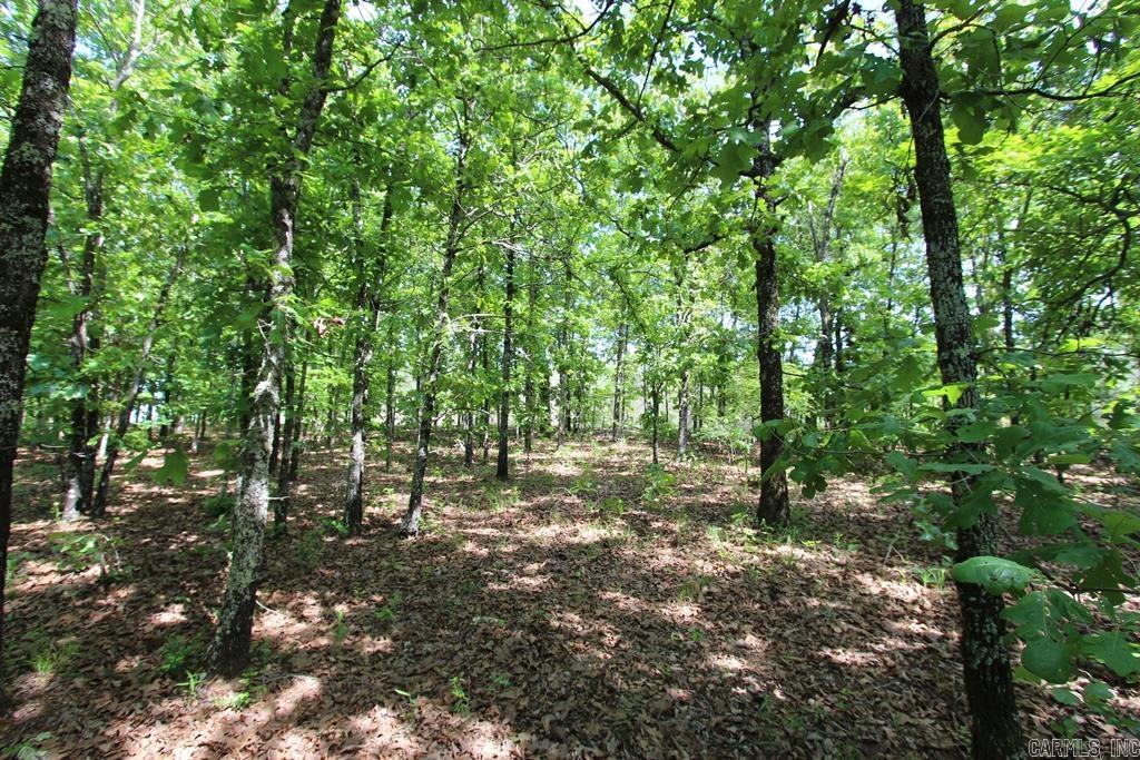 7 LAKES RANCH ESTATES PHASE 1 - Land