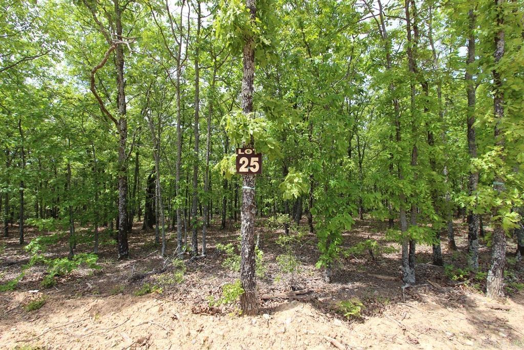 7 LAKES RANCH ESTATES PHASE 1 - Land