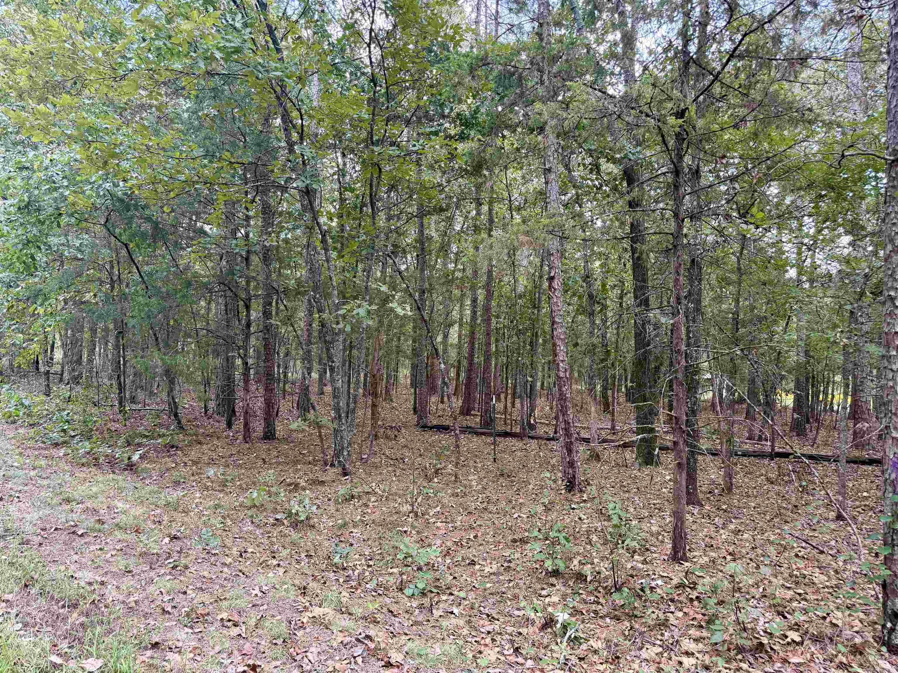 1.31 acre tract. Lots 5 & 6 of Lakeshore Hills II Subdivision. Some utilities available at the road including public water. Perc on file for lot 5. Within a few minutes of Sugarloaf Recreation Park, The Narrows and Millcreek Recreation Park on Greers Ferry Lake. Mobiles allowed.