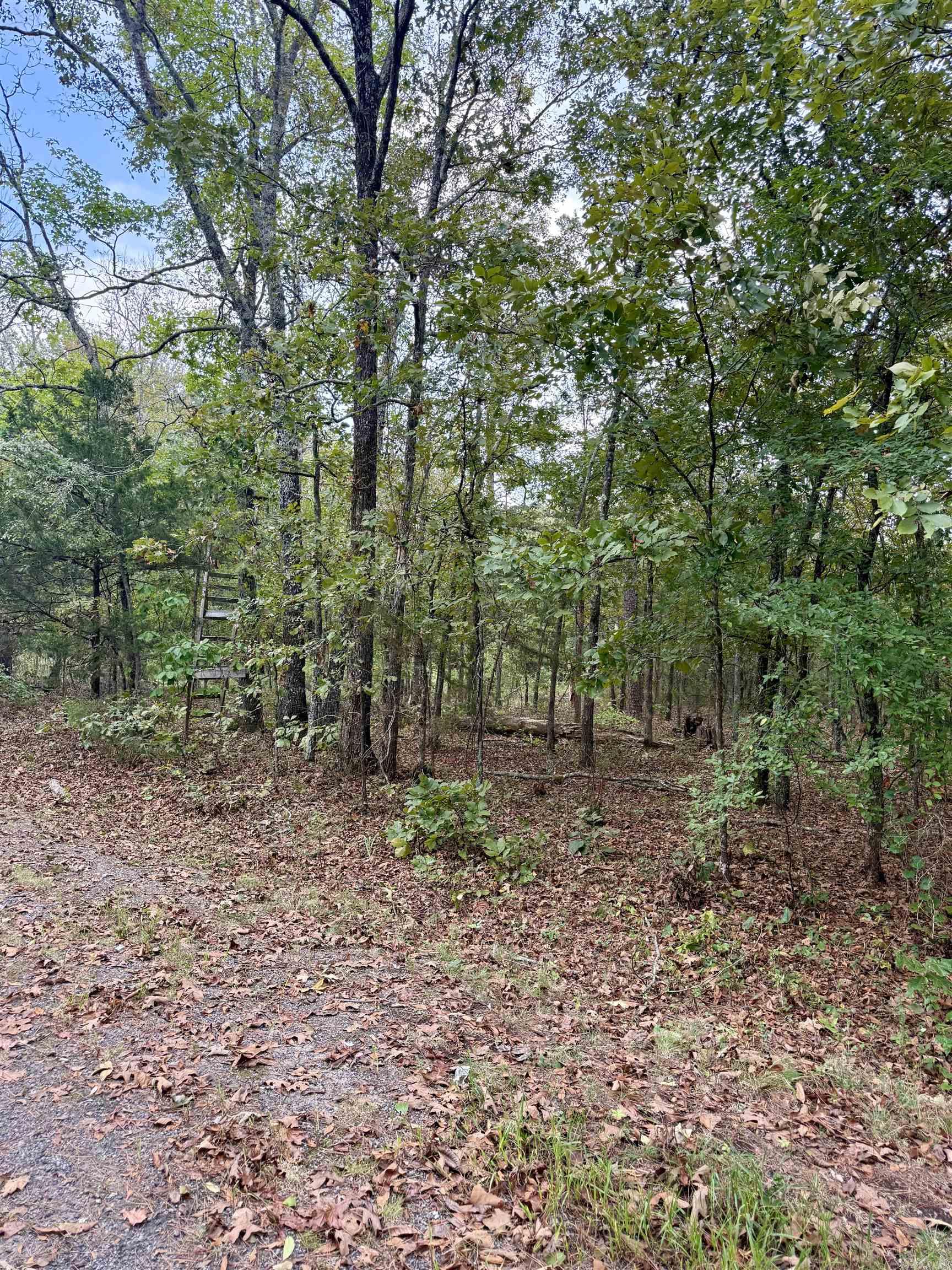 Lakeshore Hills II - Land