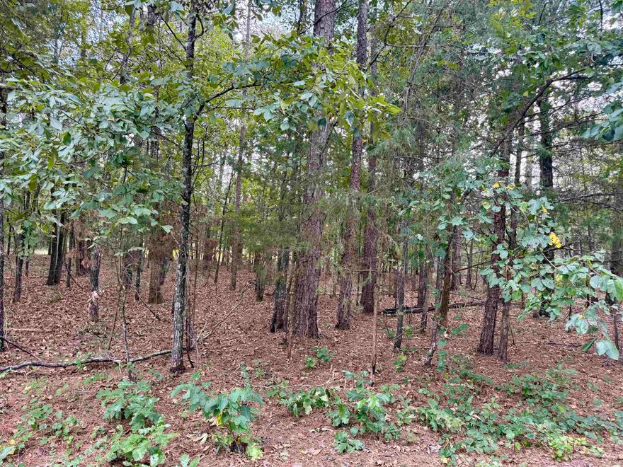 1.31 acre tract. Lots 5 & 6 of Lakeshore Hills II Subdivision. Some utilities available at the road including public water. Perc on file for lot 5. Within a few minutes of Sugarloaf Recreation Park, The Narrows and Millcreek Recreation Park on Greers Ferry Lake. Mobiles allowed.