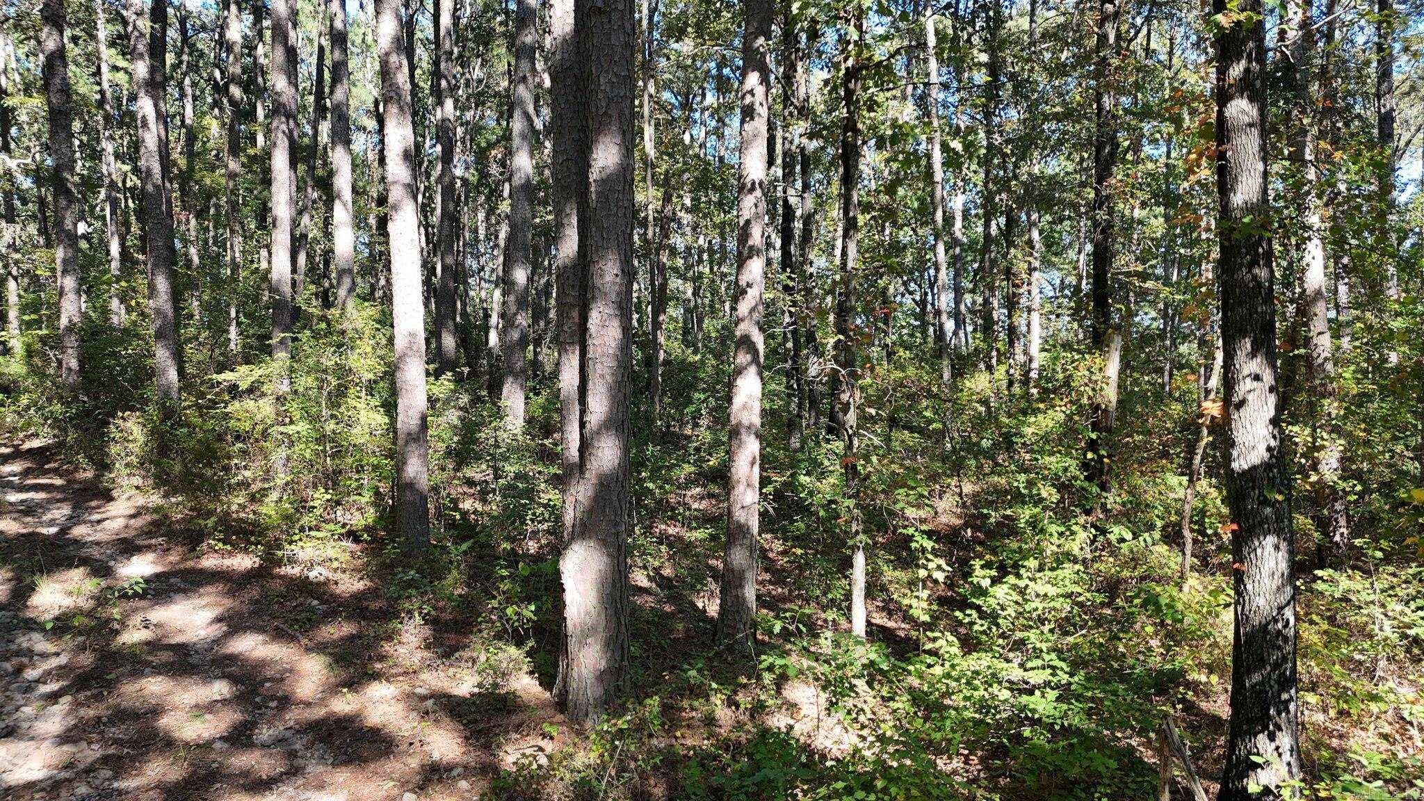 Polk County - Residential