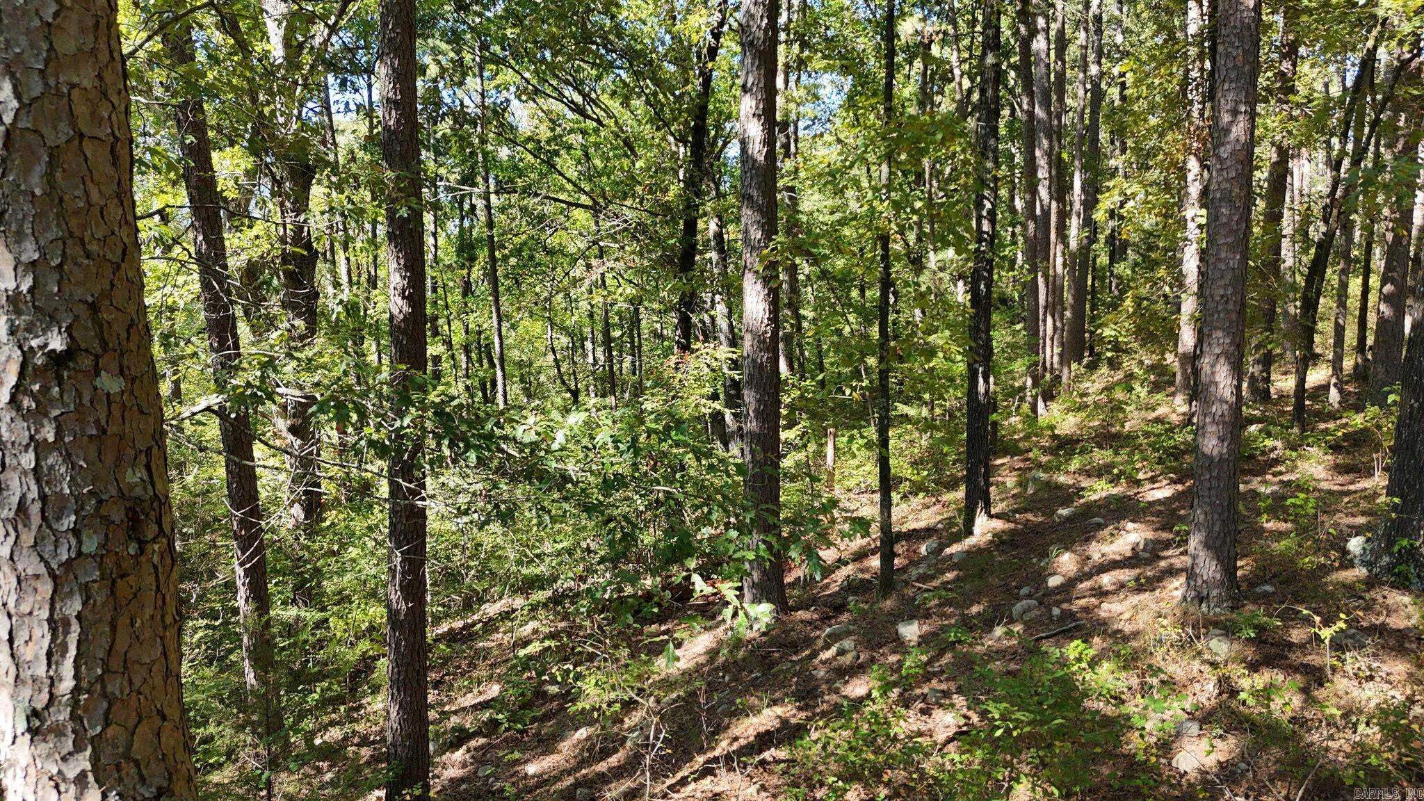 Polk County - Residential