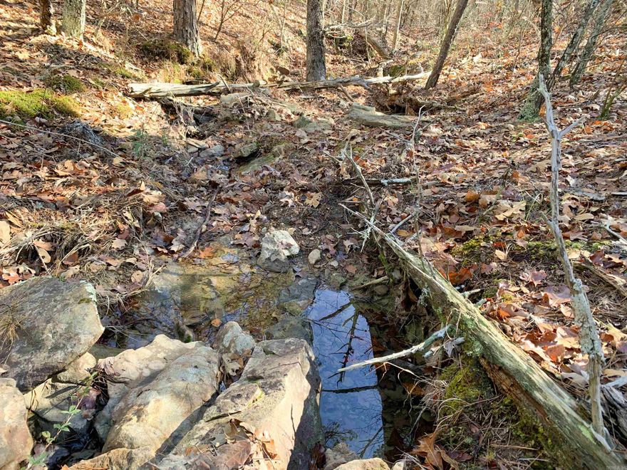 This 34-acre tract of woods offers exceptional peace and seclusion. There is a good mix of evergreen and hardwood trees, with an abundance of wildlife throughout. A beautiful rock-bottom wet-weather creeks winds its way down a small valley. Smattered throughout the property there are bright red Possumhaw berries, Farkleberry trees, and Winged Elms along with towering Blackjack Oaks and Pignut Hickories. Good location, on a quiet dead-end county road, but within 20 minutes of Choctaw Marina on Greers Ferry Lake and only an hour from Grinder's Ferry on the Buffalo National River. Electric and water is at the road.