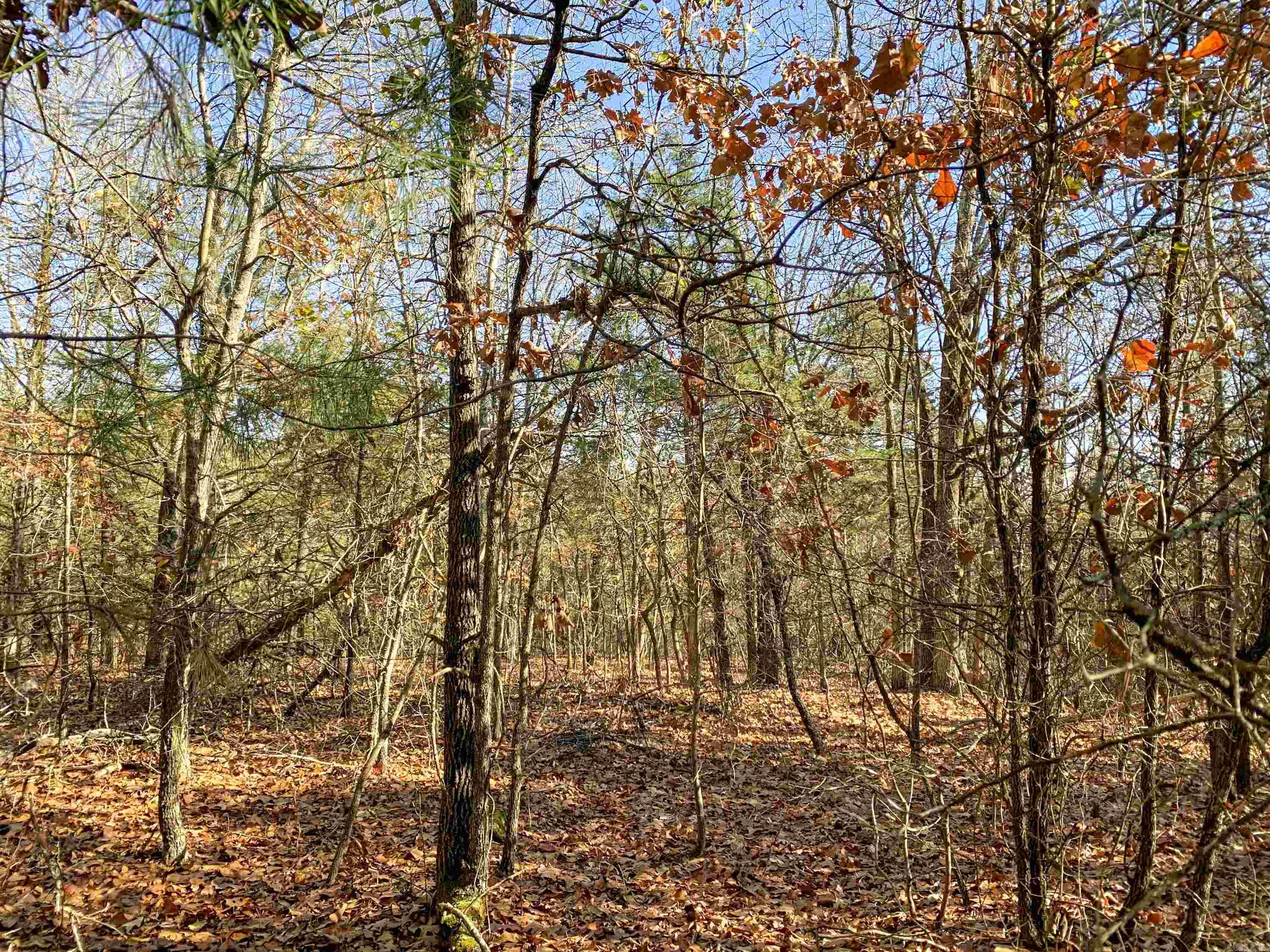 Metes & Bounds - Land