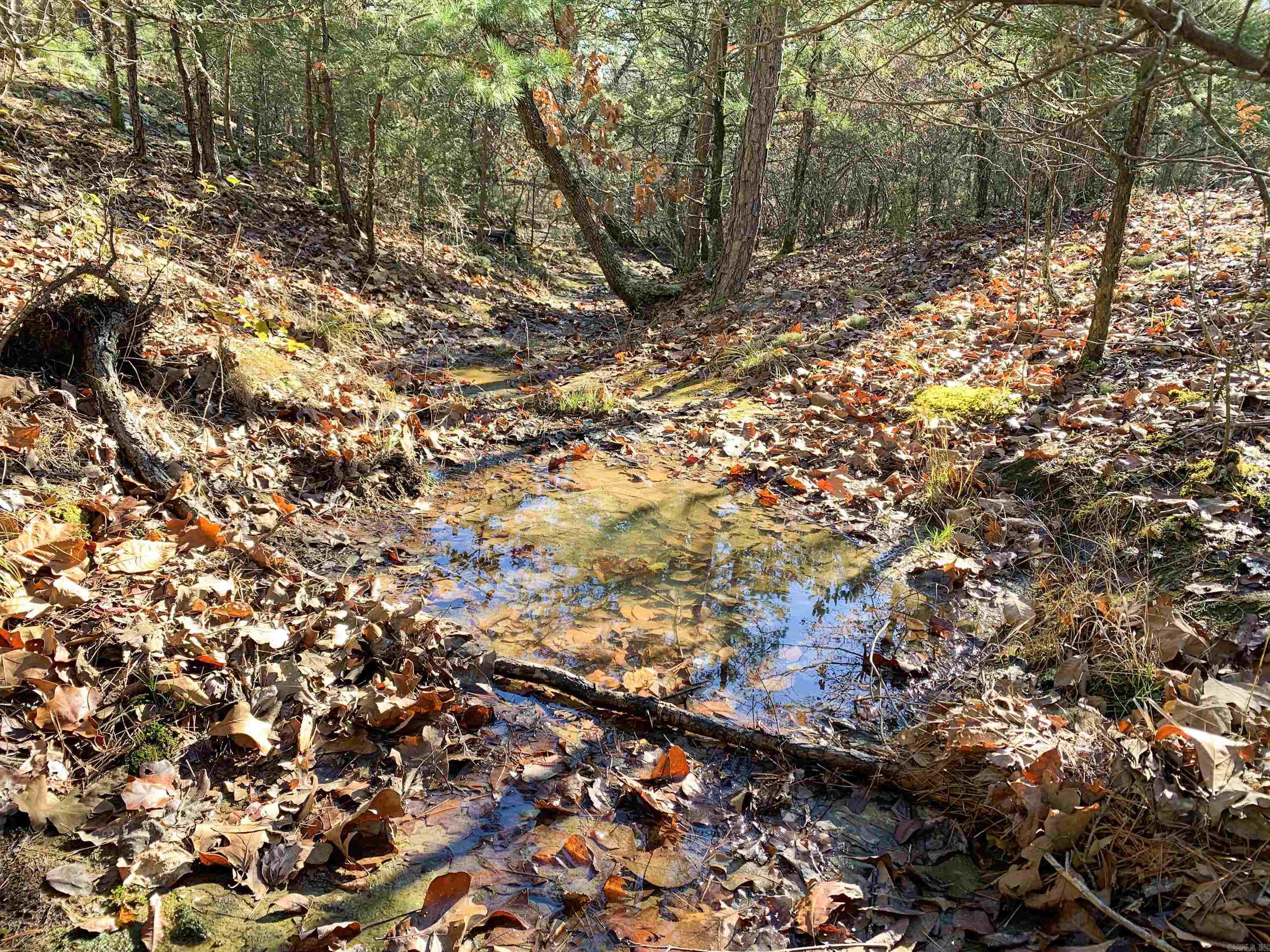 Metes & Bounds - Land