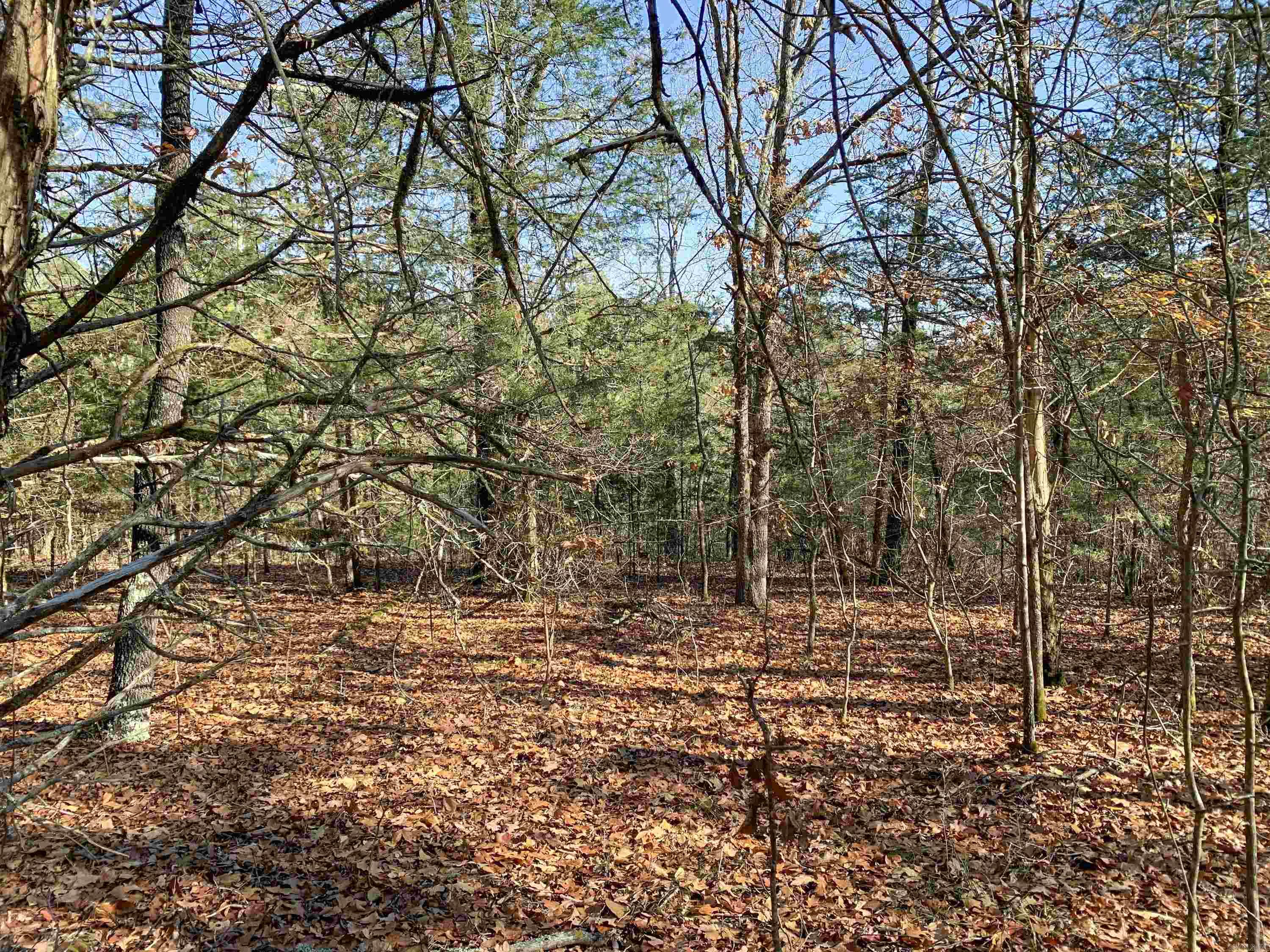 Metes & Bounds - Land