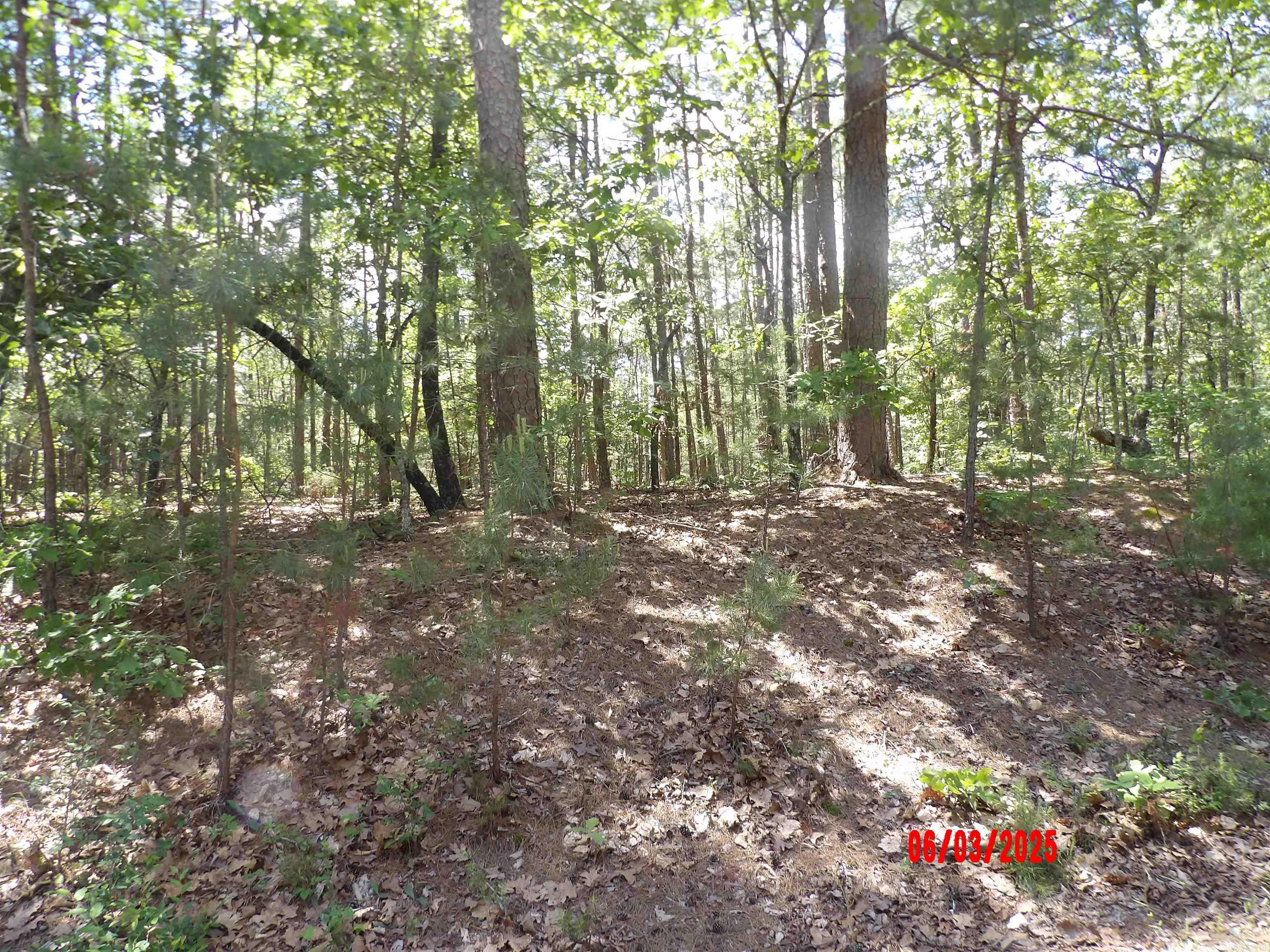 WONDERFUL BUILDING LOT IN CORONADO GOLF AREA. LOTS OF PRIVACY ON A QUIET CUL-DE-SAC. DRIVE YOUR GOLF CART TO THE COURSE & RESTAURANT WHERE YOU CAN GET A FANTASTIC BREAKFAST OR LUNCH. ALSO ONLY 1 MILE TO DANVILLE GATE & 13 MILES TO HOT SPRINGS.