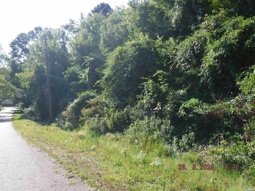 Great city lots in the heart of downtown Hot Springs. Just mins to bathhouse row or Pullman trail head. Just under half an acre.  Lots front on both Ashland St and Elizabeth Terrace.
