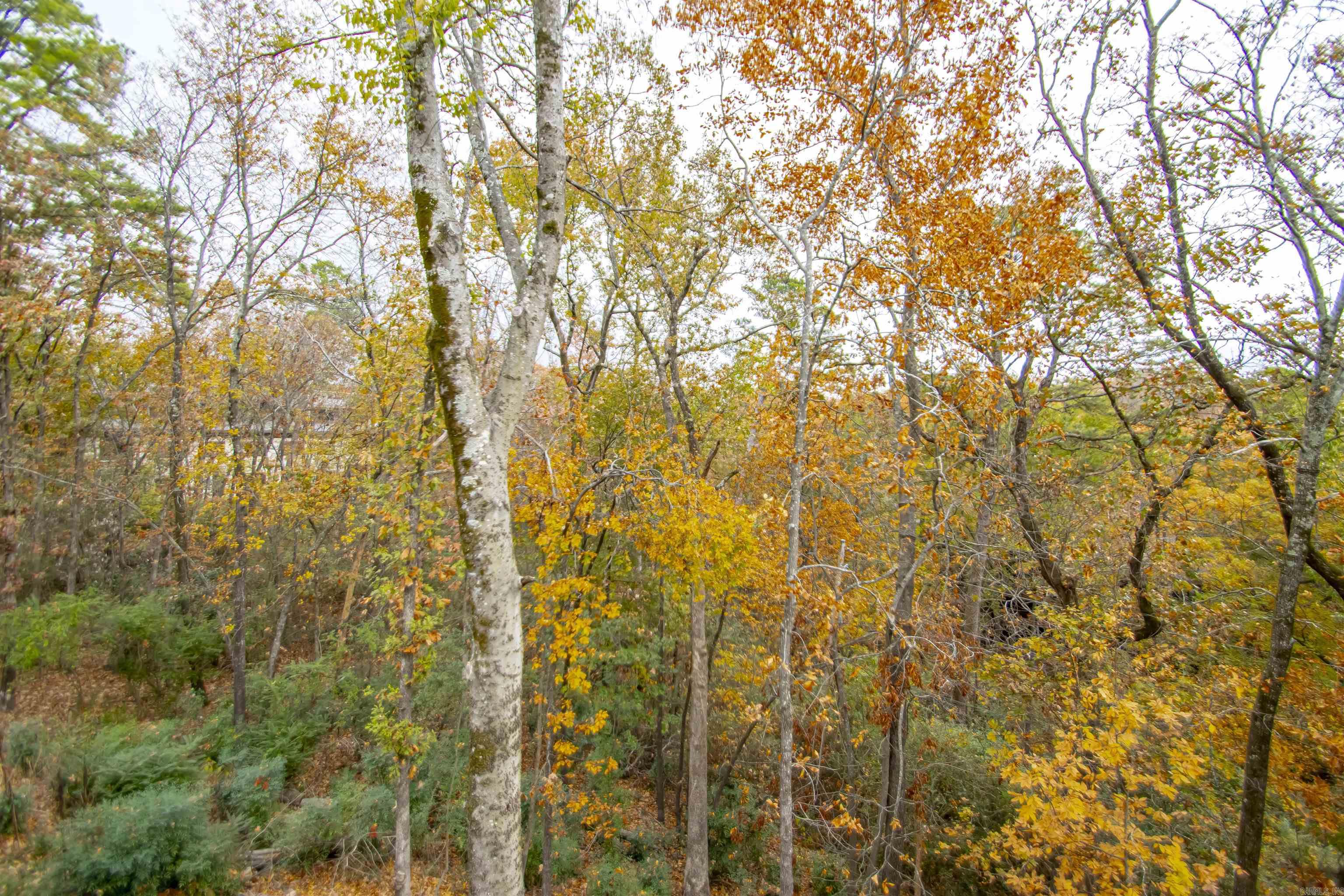 Forest Heights Condo - Residential