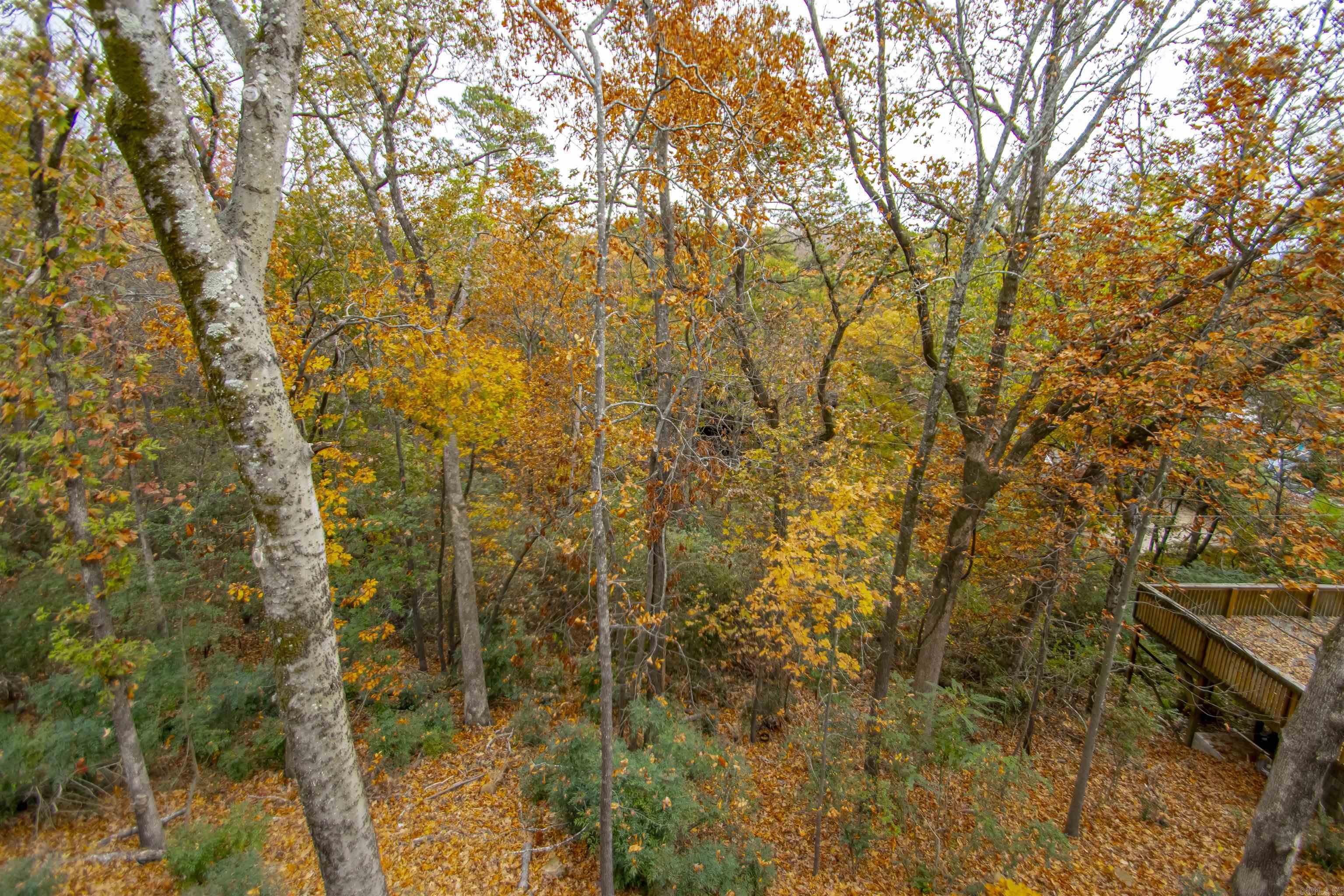 Forest Heights Condo - Residential