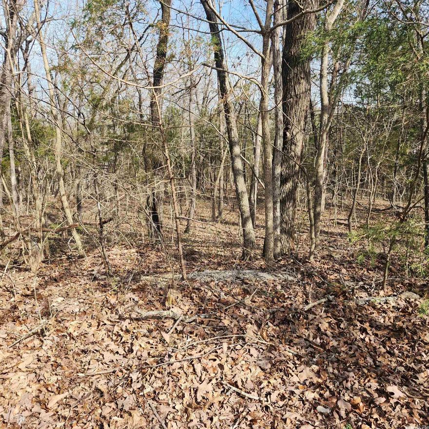 This is a hillside lot with a downhill slope, located in a Cul-De-Sac in the center of the village. This is a nice, wooded lot just waiting for you to come pick the spot you want to build your dream home on. With property ownership comes access to all the amenities of Cherokee Village. 7 Lakes, 2 Golf courses, 2 recreational centers and don't forget about the beautiful Southfork River that meanders right through Cherokee Village.