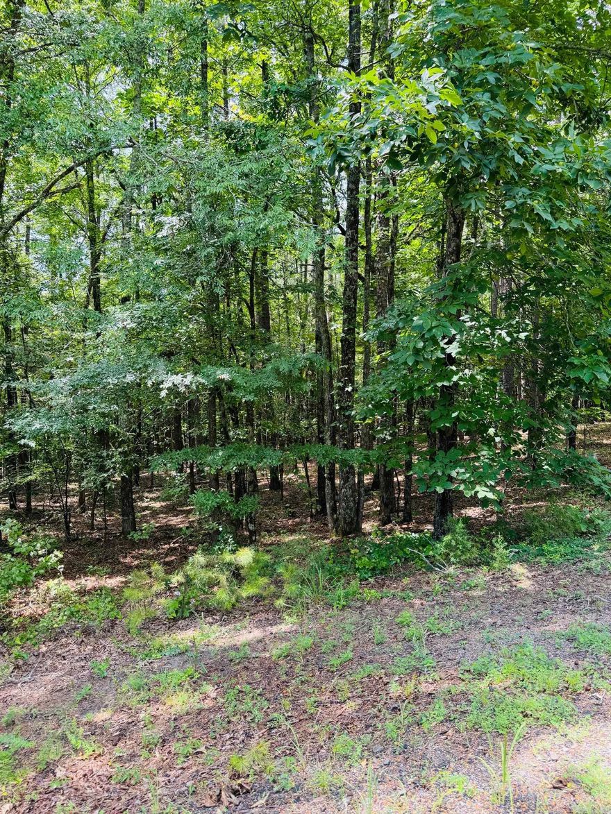 Are you dreaming of retreating to the beautiful Little Red River? This picturesque land is the perfect place to build your cozy dream home. Escape the hustle and enjoy a quiet community that offers a private community pool, boat ramp and dock on the Little Red River and minutes away from Greers Ferry Lake! This gated community offers modern amenities, access to hiking trails, boating, swimming and world-record trout fishing. Access to all the Natural State has to offer is only an offer away. Let us make your dream a reality! This beautiful lot even has a creek view!