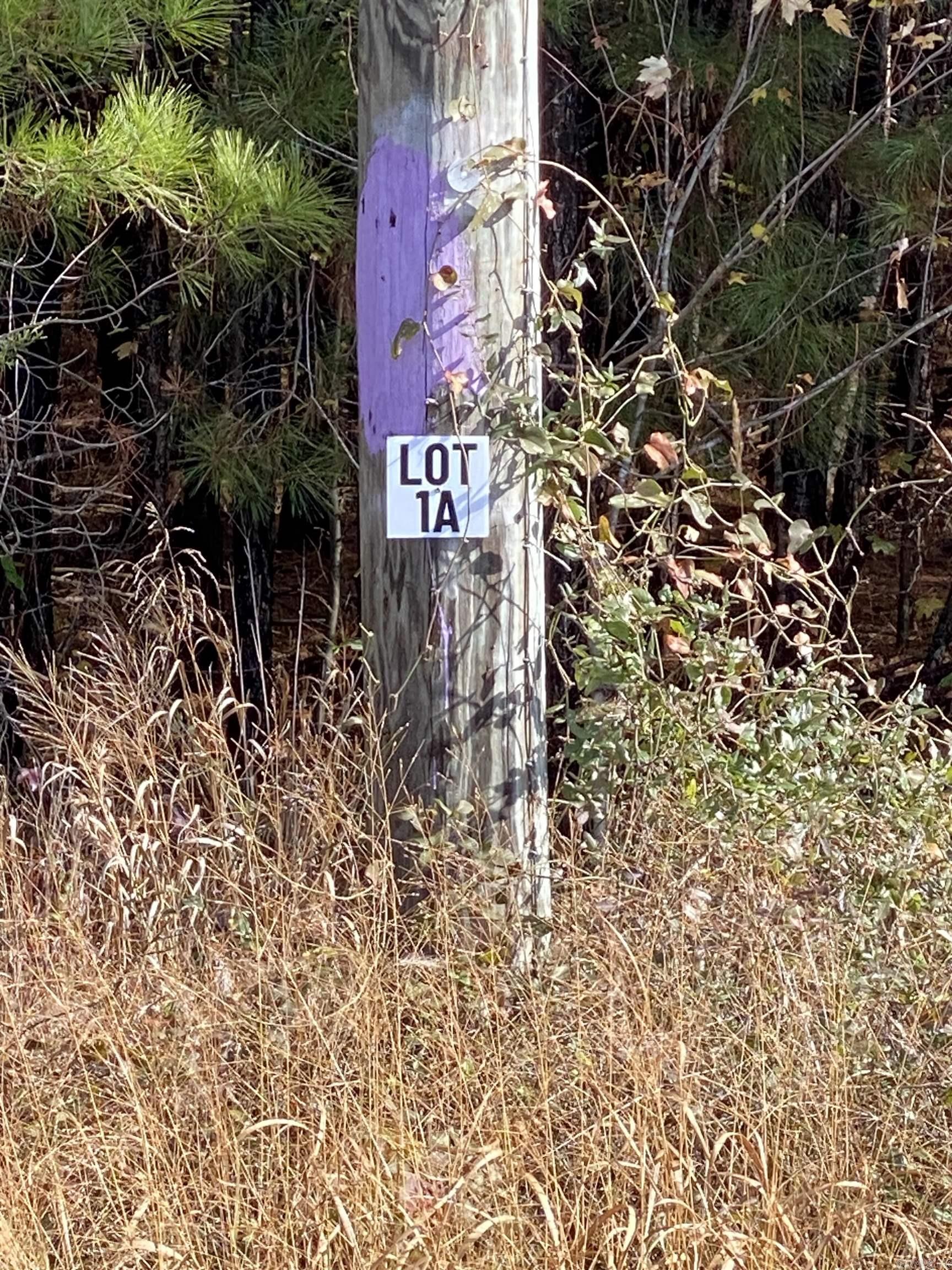 Lot 1A is an approx 10-Acre Lot located within Tract A. Tract A begins at the Corner of Forbus and Hwy 89. Acreage is wooded and fronts Hwy 89. Lot 1A is 1 of 4 lots available for purchase in Tract A. Grand Prairie Water and First Electric at Road. Fantastic opportunity for a spacious home place, duplexes, triplexes, and/or quadplexes. Take a drive out to see this lot or the other lots listed. See Agent Remarks.