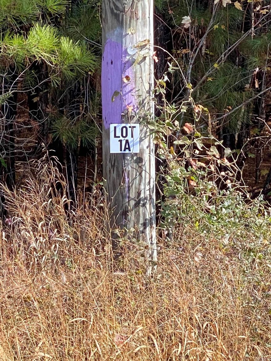 Lot 1A is an approx 10-Acre Lot located within Tract A.  Tract A begins at the Corner of Forbus and Hwy 89.  Acreage is wooded and fronts Hwy 89.  Lot 1A is 1 of 4 lots available for purchase in Tract A.  Grand Prairie Water and First Electric at Road.  Fantastic opportunity for a spacious home place, duplexes, triplexes, and/or quadplexes.  Take a drive out to see this lot or the other lots listed.   See Agent Remarks.