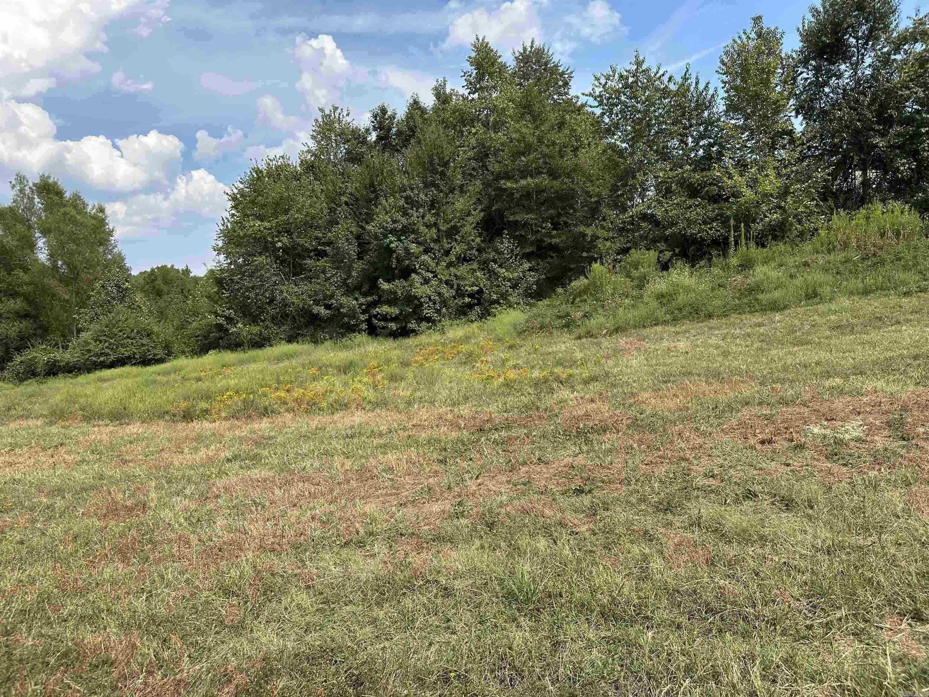 Sulfer Springs - Residential