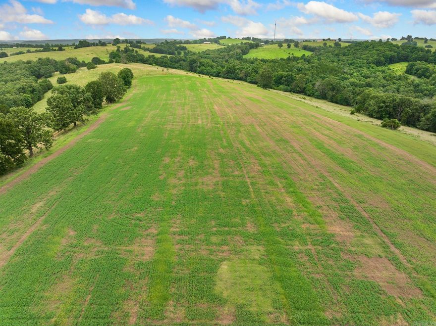 Great location on this 360 acres m/l Arkansas' Ozark Farm waiting for you to customize to your liking. Approximately 160 acres in pasture and the balance wooded. Circa 1970 ranch home with basement will need updating, but has good bones. Older dairy barn, hay/equipment barn, shed, fenced and crossed fenced, corral, ponds, springs, wildlife and VIEWS! In the heart of the Ozarks within an hour or less of Table Rock, Taneycomo, Bull Shoals, and Norfork Lakes, the White and Buffalo Rivers, and many fishing, camping, hiking, hunting and sightseeing venues. Within minutes of Crooked and Clear Creeks. Approximately an hour to Branson, Mo and slightly over to Eureka Springs, AR. A great place to live, ranch, hunt, and enjoy the life the Ozarks has to offer. More land could be opened up for cattle, or leave it as it is for seclusion and hunting. Large acreages like these are hard to find, so be sure to check it out if the country is beckoning you home!