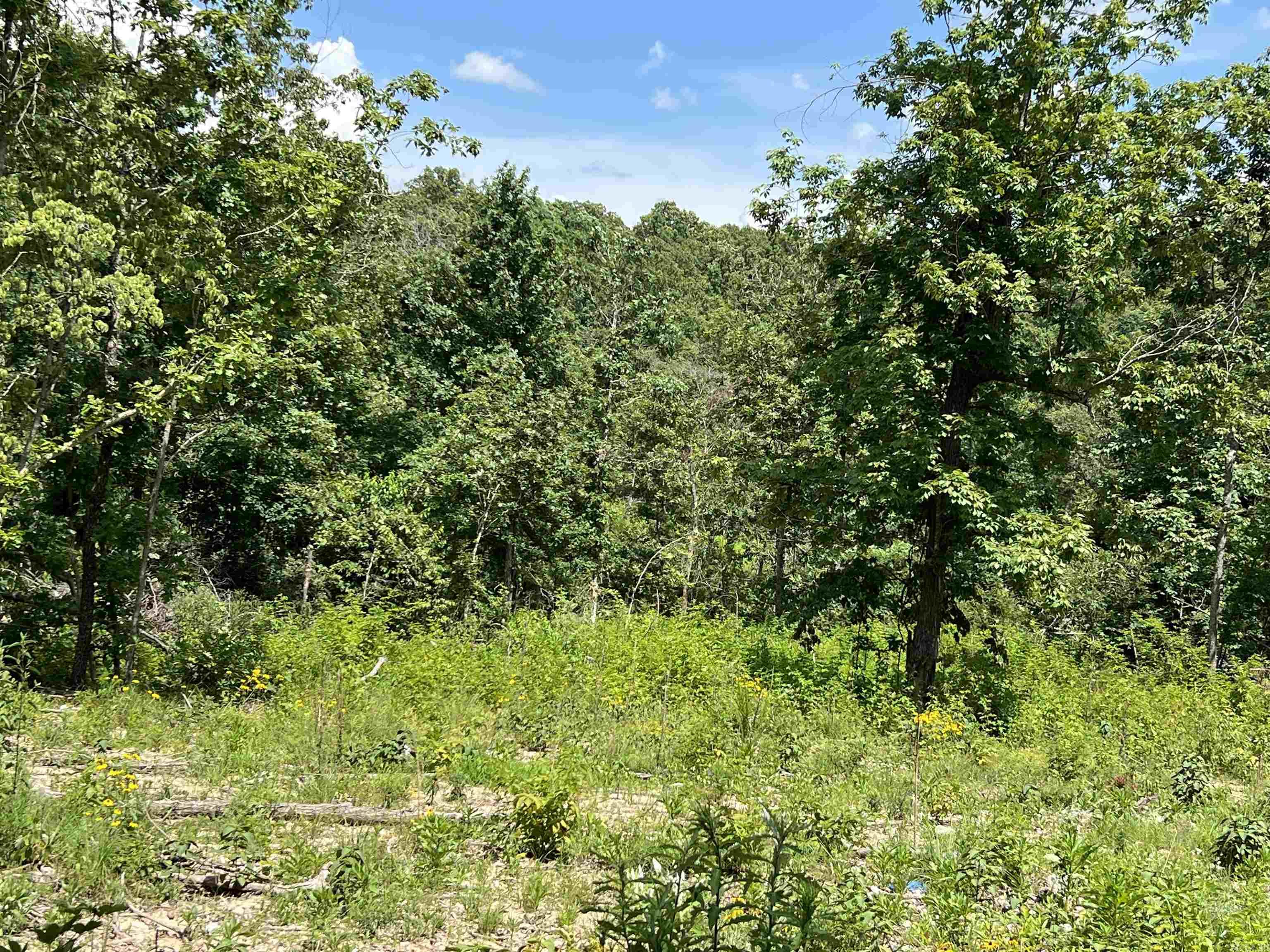 ACREAGE/ROUGHED/HUNTING 6 acres all wooded, some timber has been cut, has a good draw running through with hills on each side that might have possibilities for small pond or lake. Should make you a good hunting and recreational property. Will be strictly off Grid so bring your solar or generators. Enjoy nature here. Very lightly populated area. Offered @ $29,500.