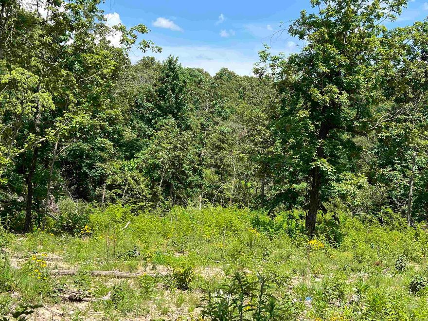 ACREAGE/ROUGHED/HUNTING 6 acres all wooded, some timber has been cut, has a good draw running through with hills on each side that might have possibilities for small pond or lake. Should make you a good hunting and recreational property. Will be strictly off Grid so bring your solar or generators. Enjoy nature here. Very lightly populated area. Offered @ $29,500.