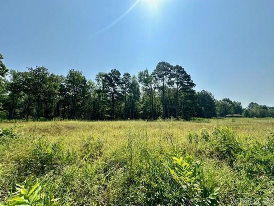 Come see this beautiful, wooded property! Being outside zoning restrictions, this property would be great for your next home or business!  Tract C is 3.19 acres. Option to purchase Tract A as well if interested. Tract A: MLS #24023551
