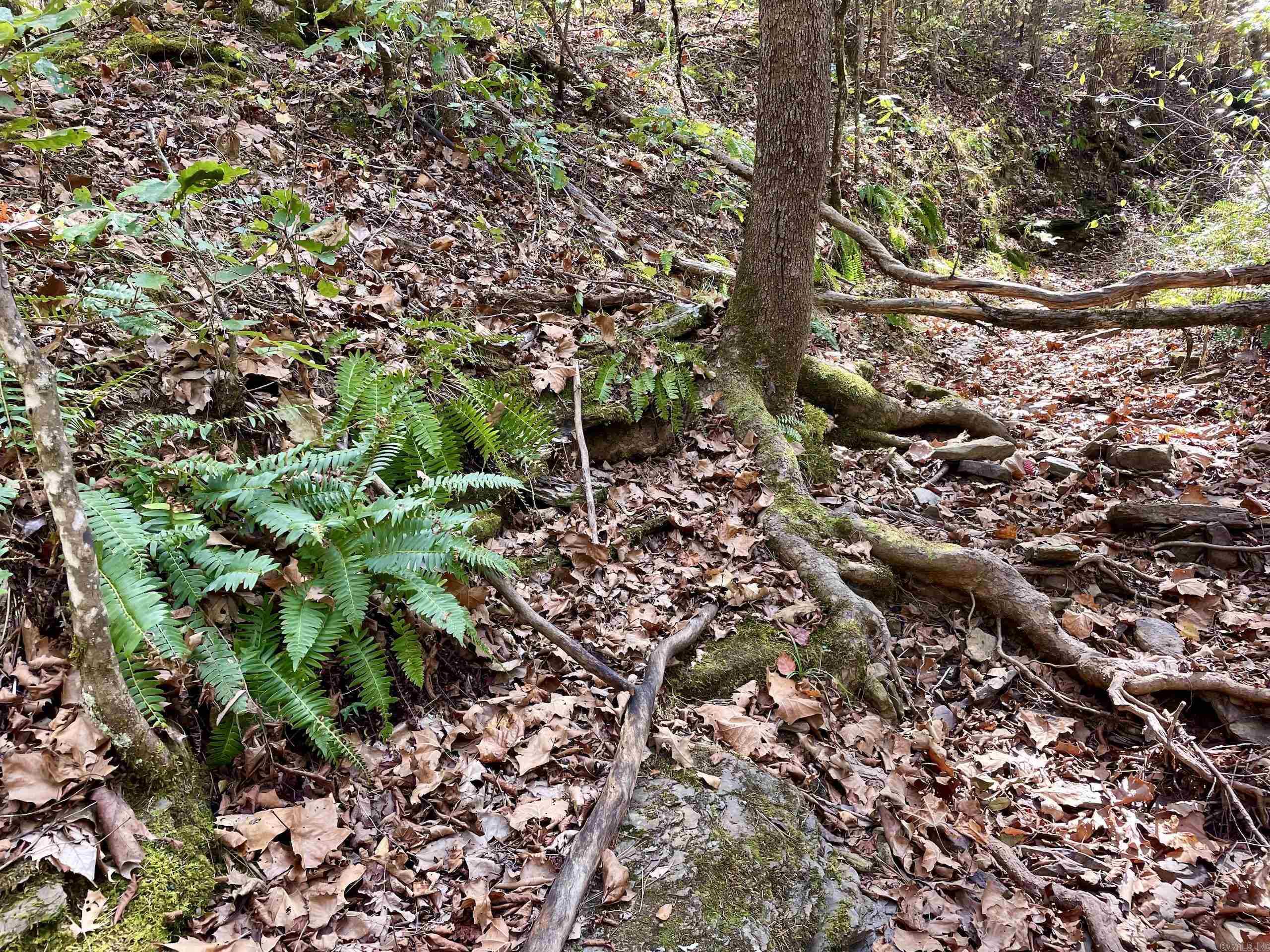 Not in Subdivision - Land