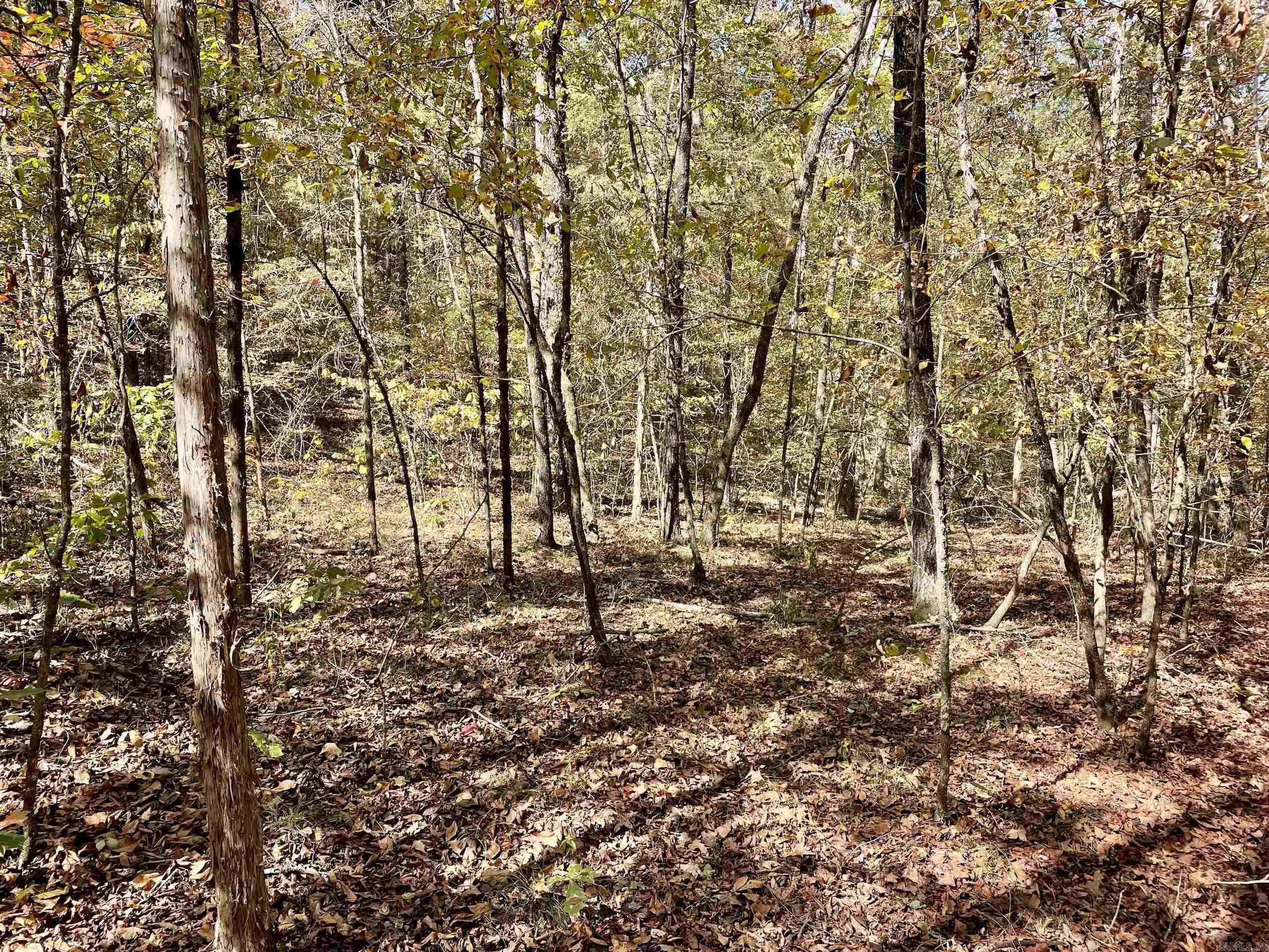 Not in Subdivision - Land