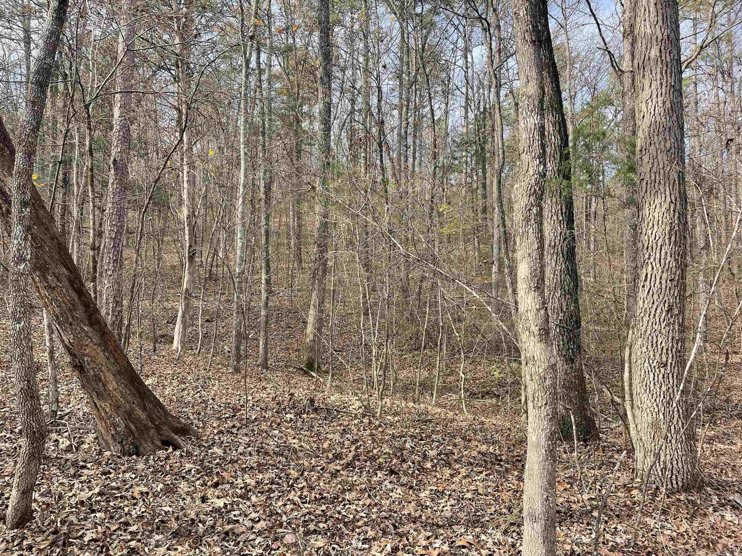 Not in Subdivision - Land