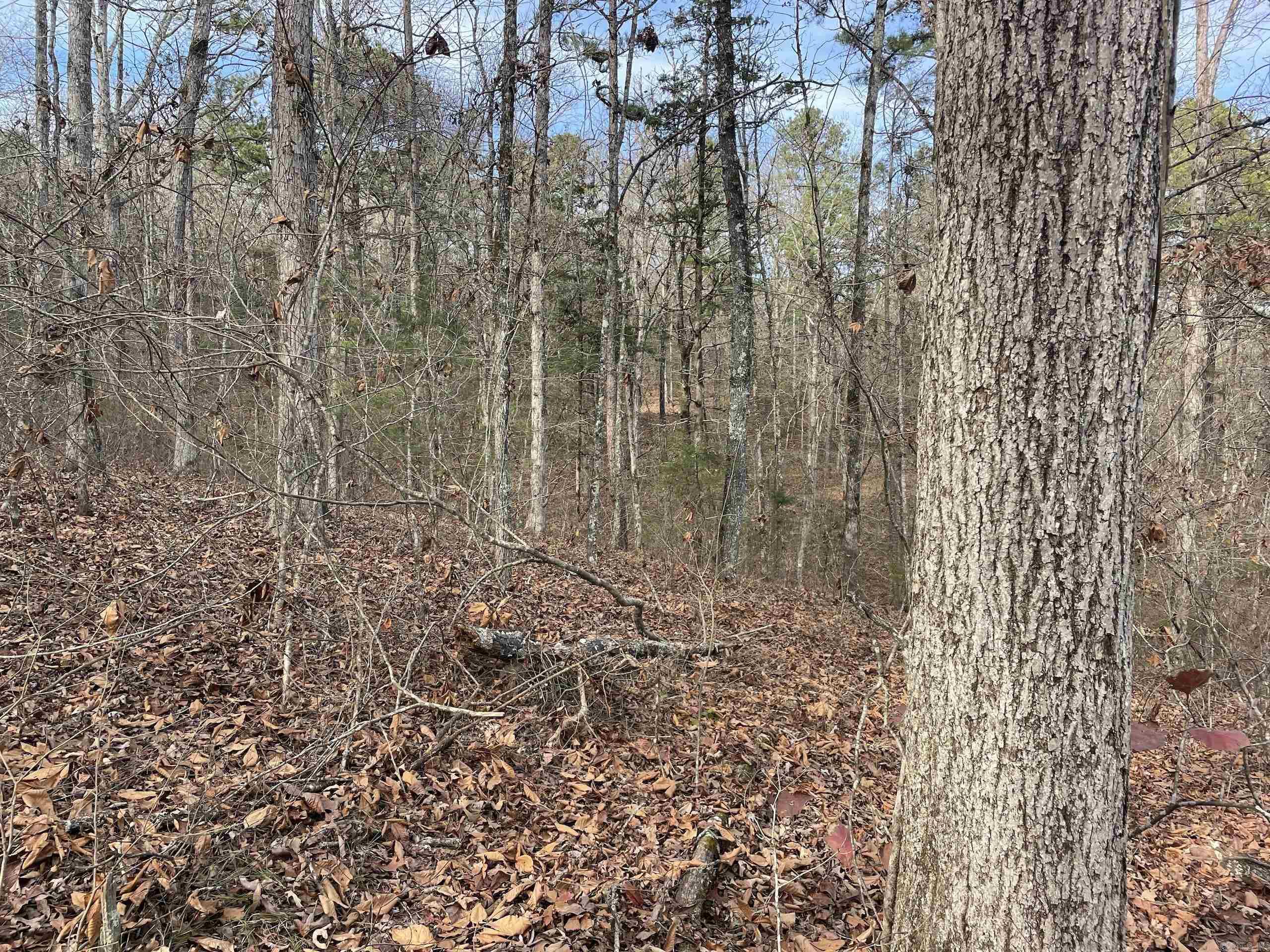 Not in Subdivision - Land