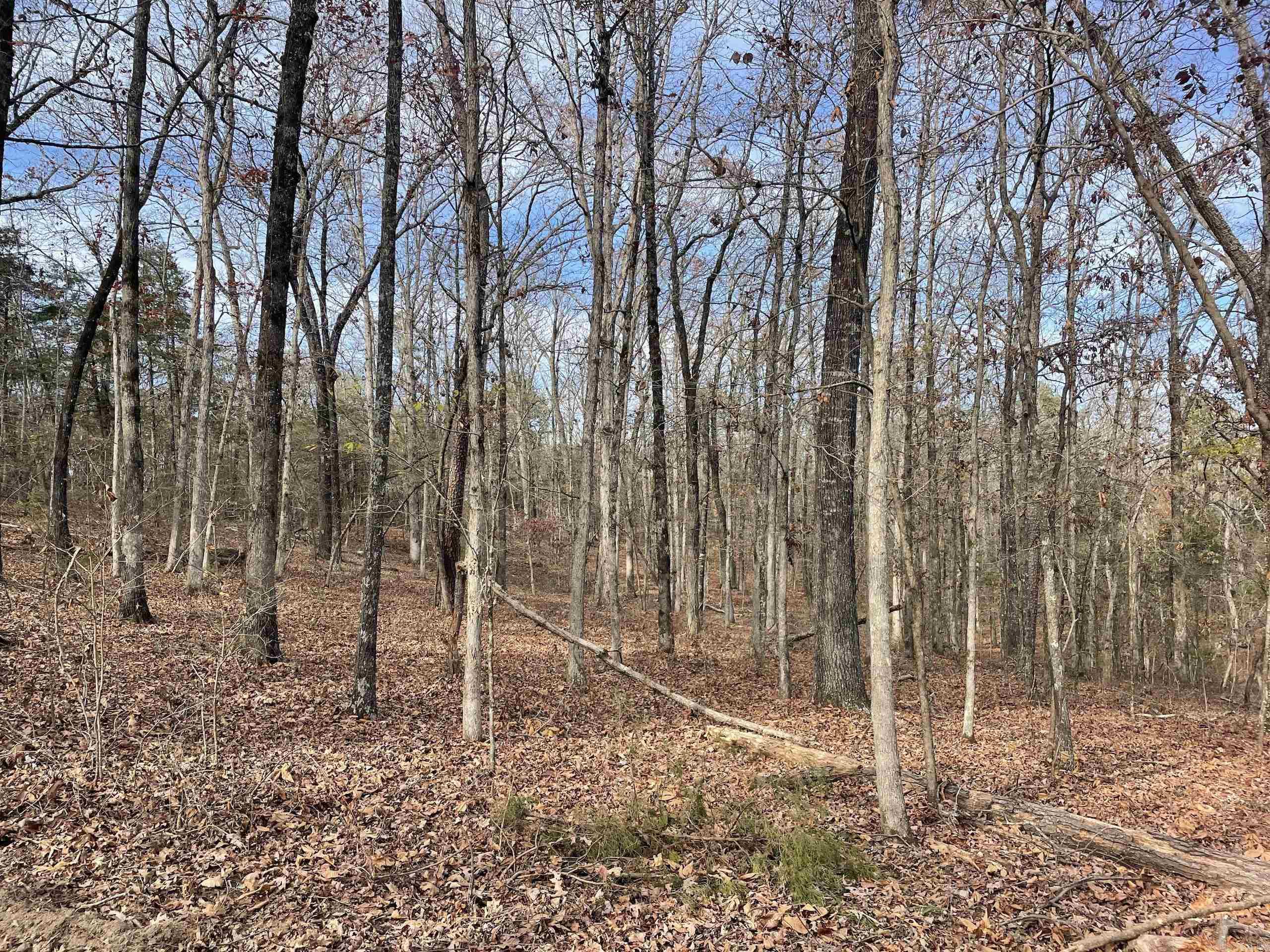 Not in Subdivision - Land